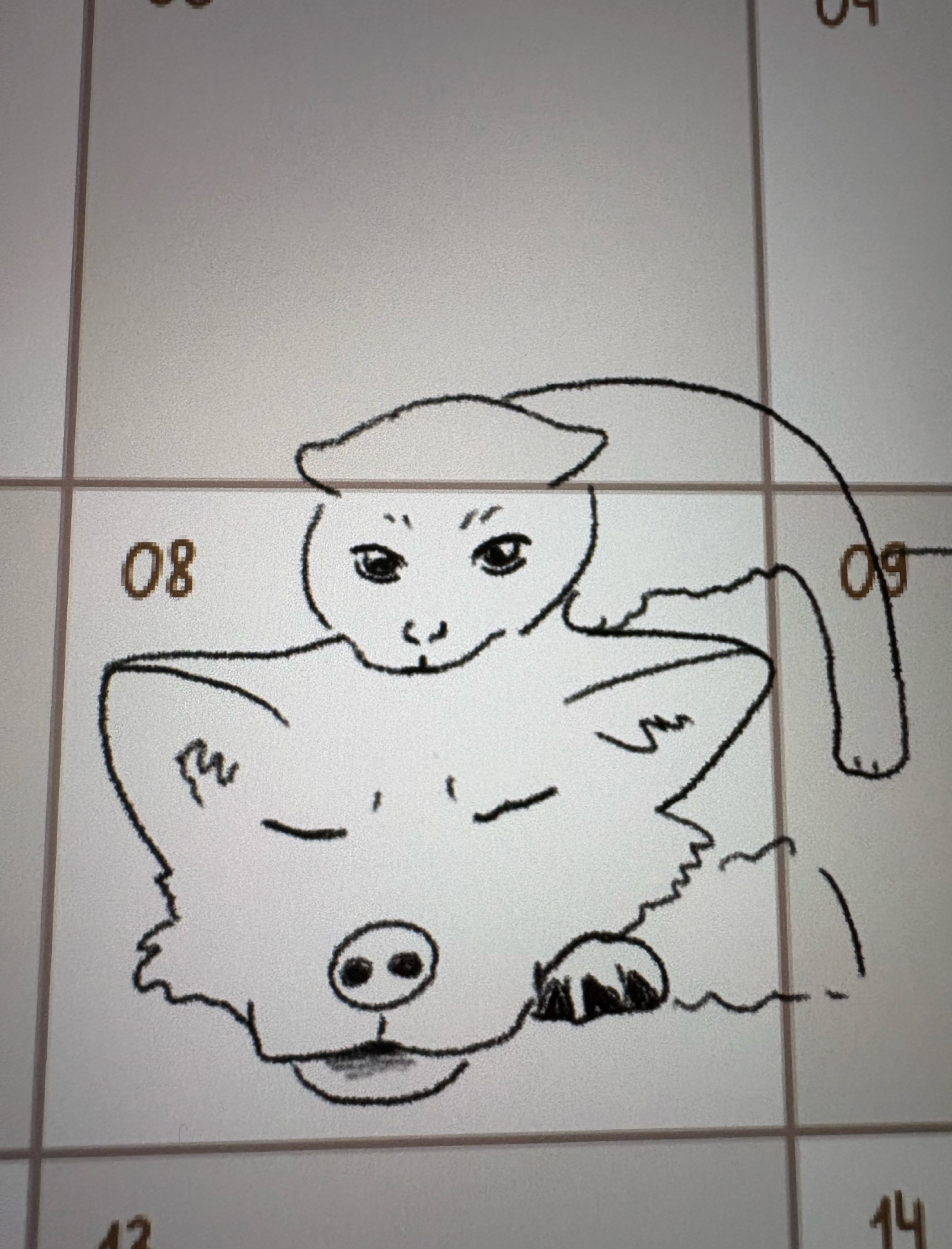잔잔토크~탐방환영🙇‍♂️