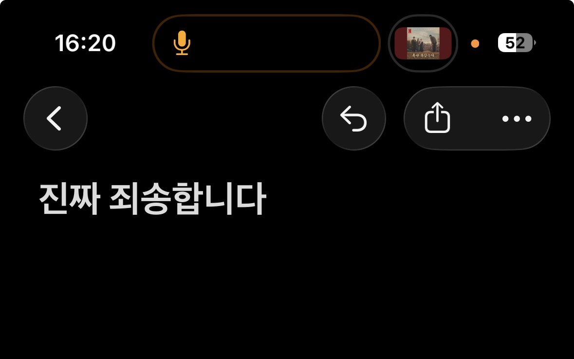 올빼미들을 위한 잔잔한 잠방