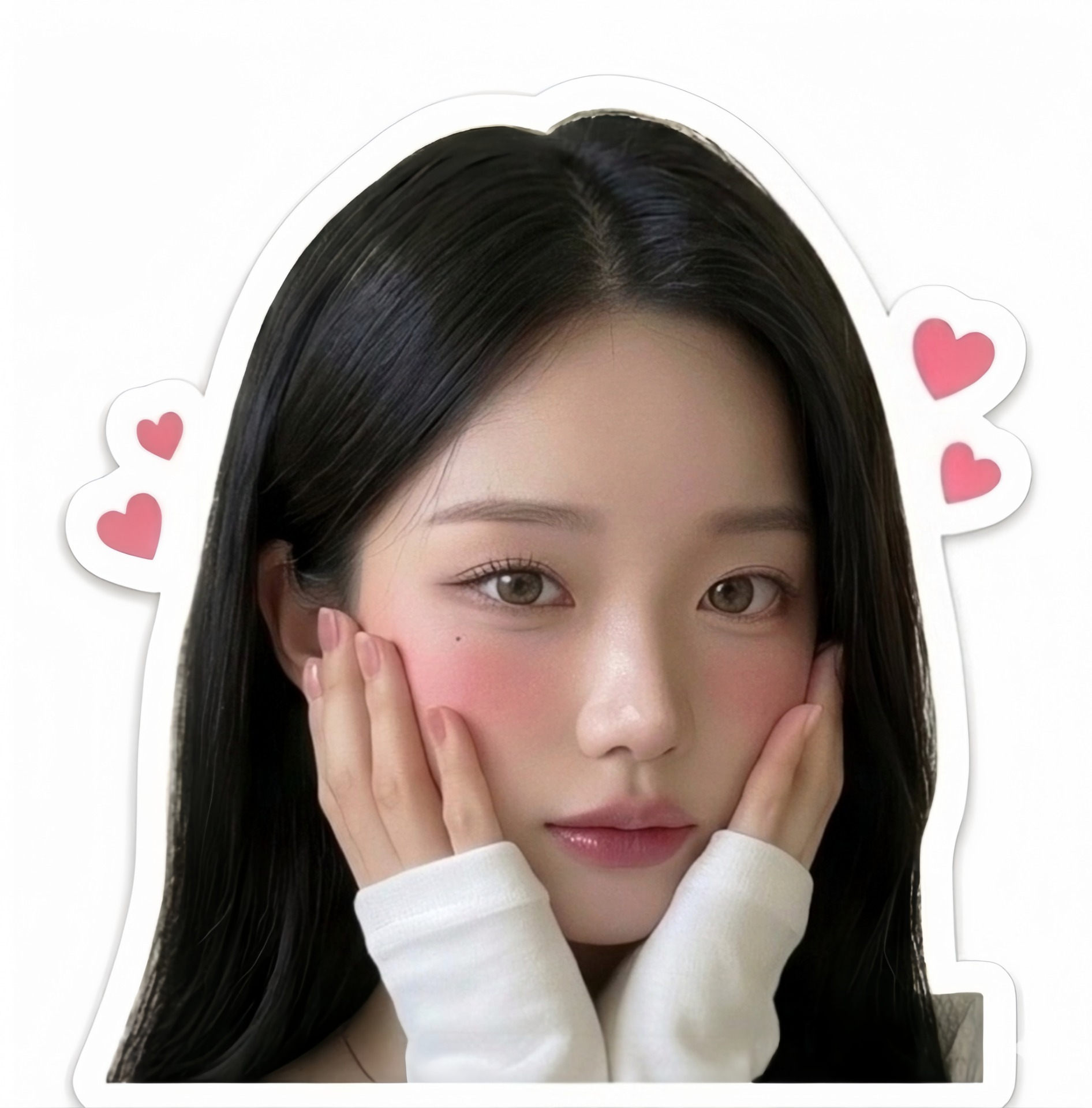 플 리 말x