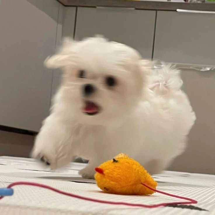 퇴근메이트와써
