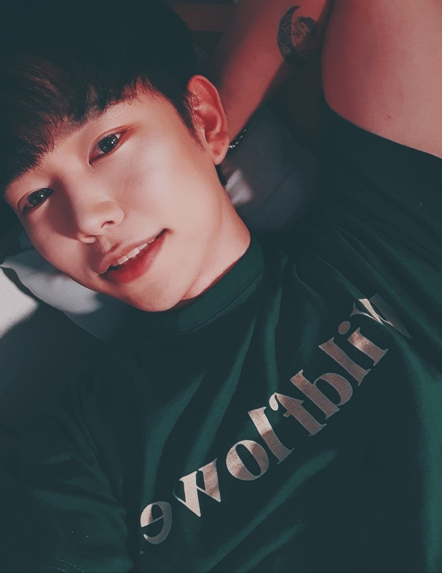 안오면 집에 바퀴벌레 나옴