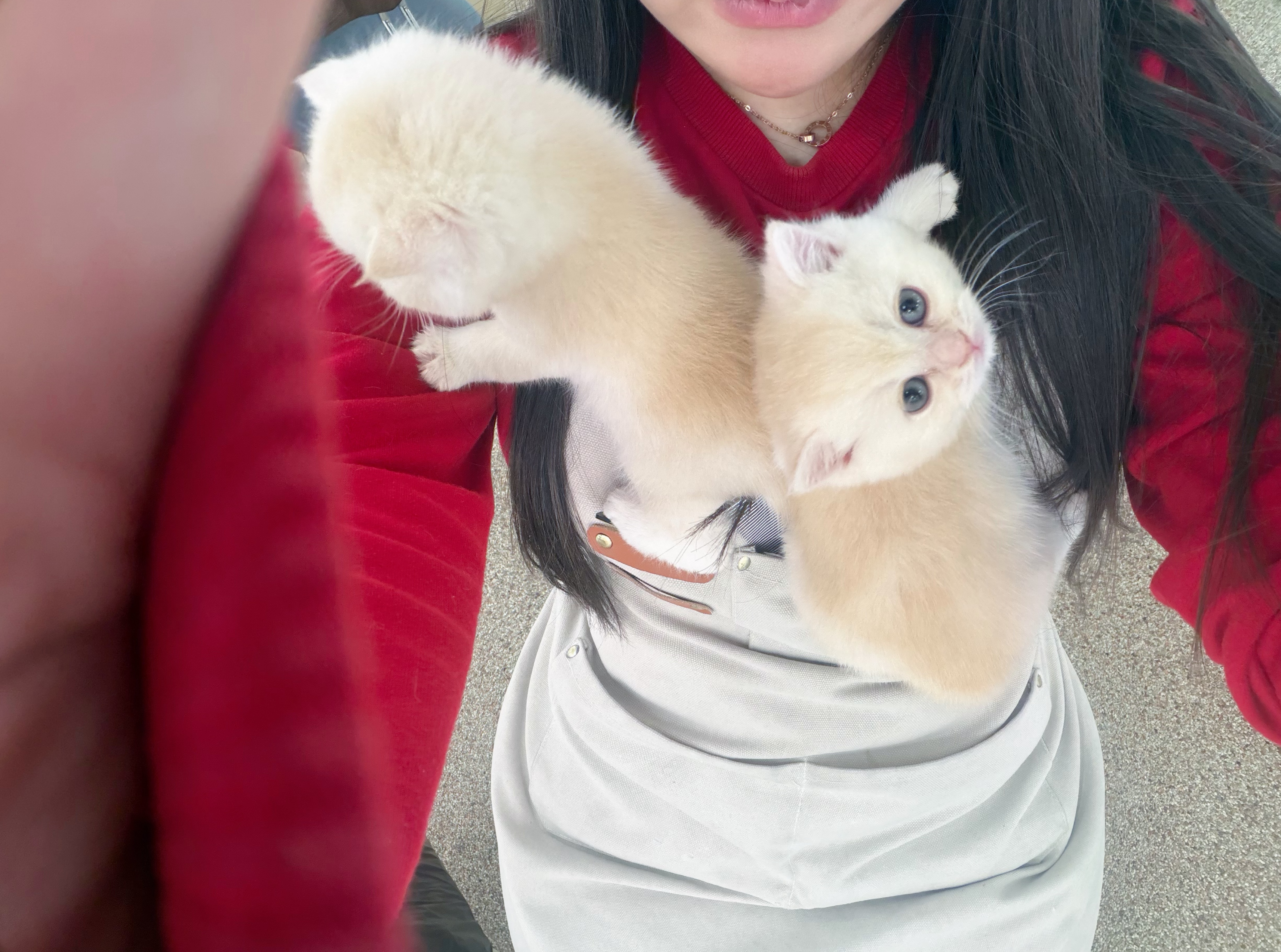퇴근메이트와써