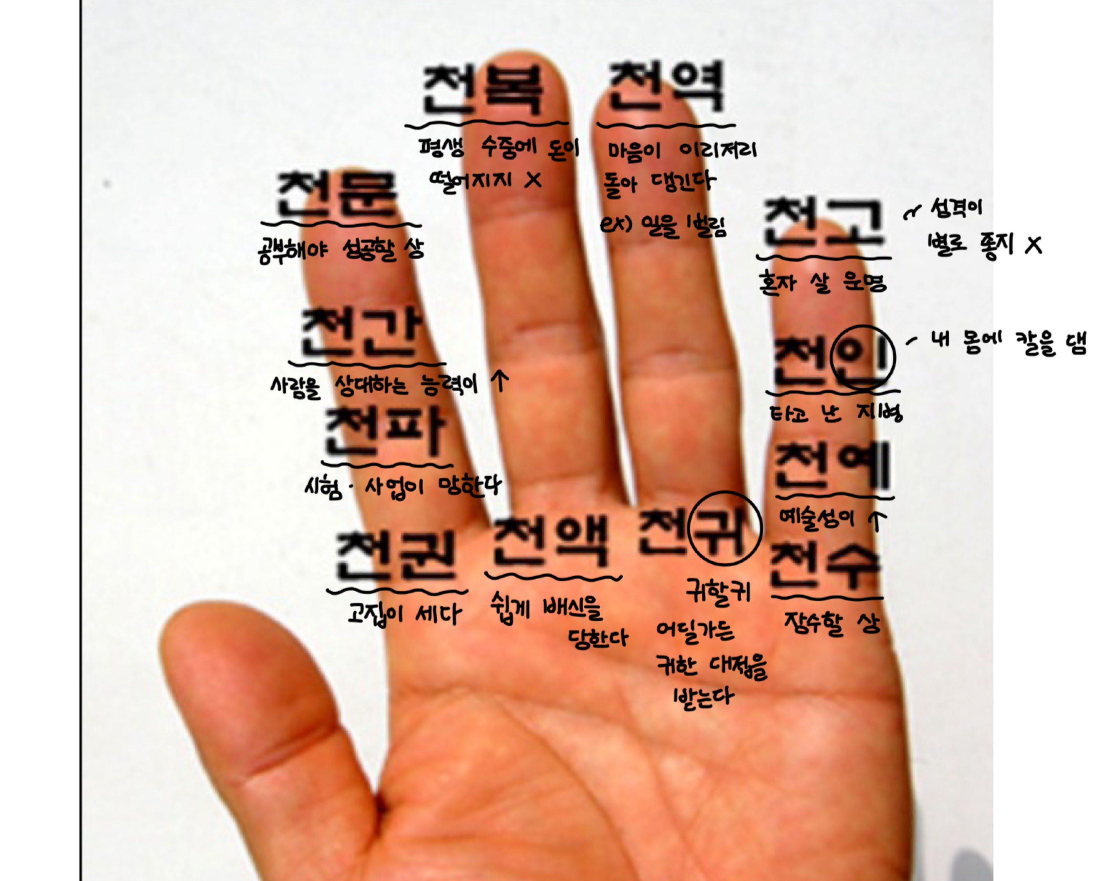 이끌림 .•♥