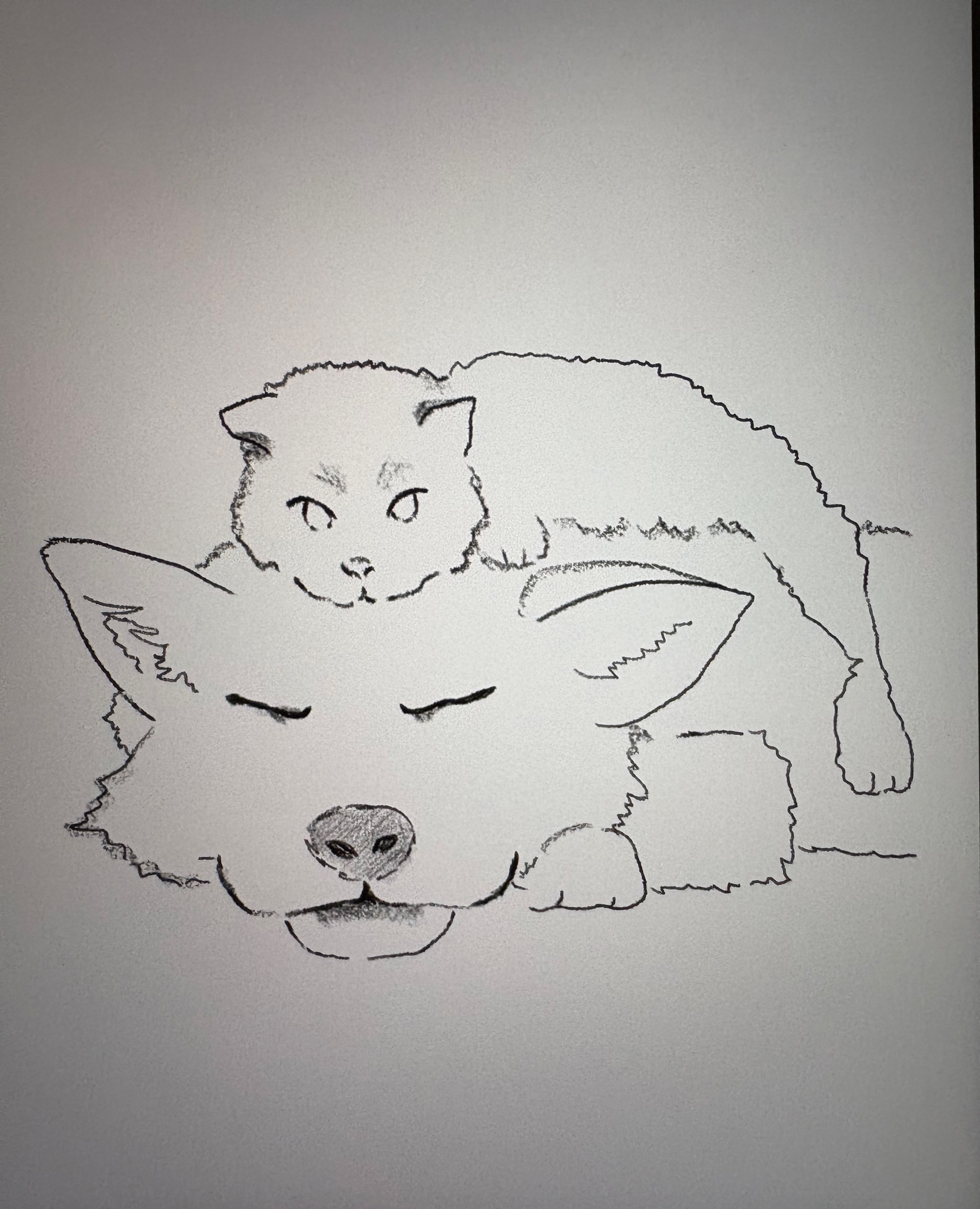 롤하는중💕