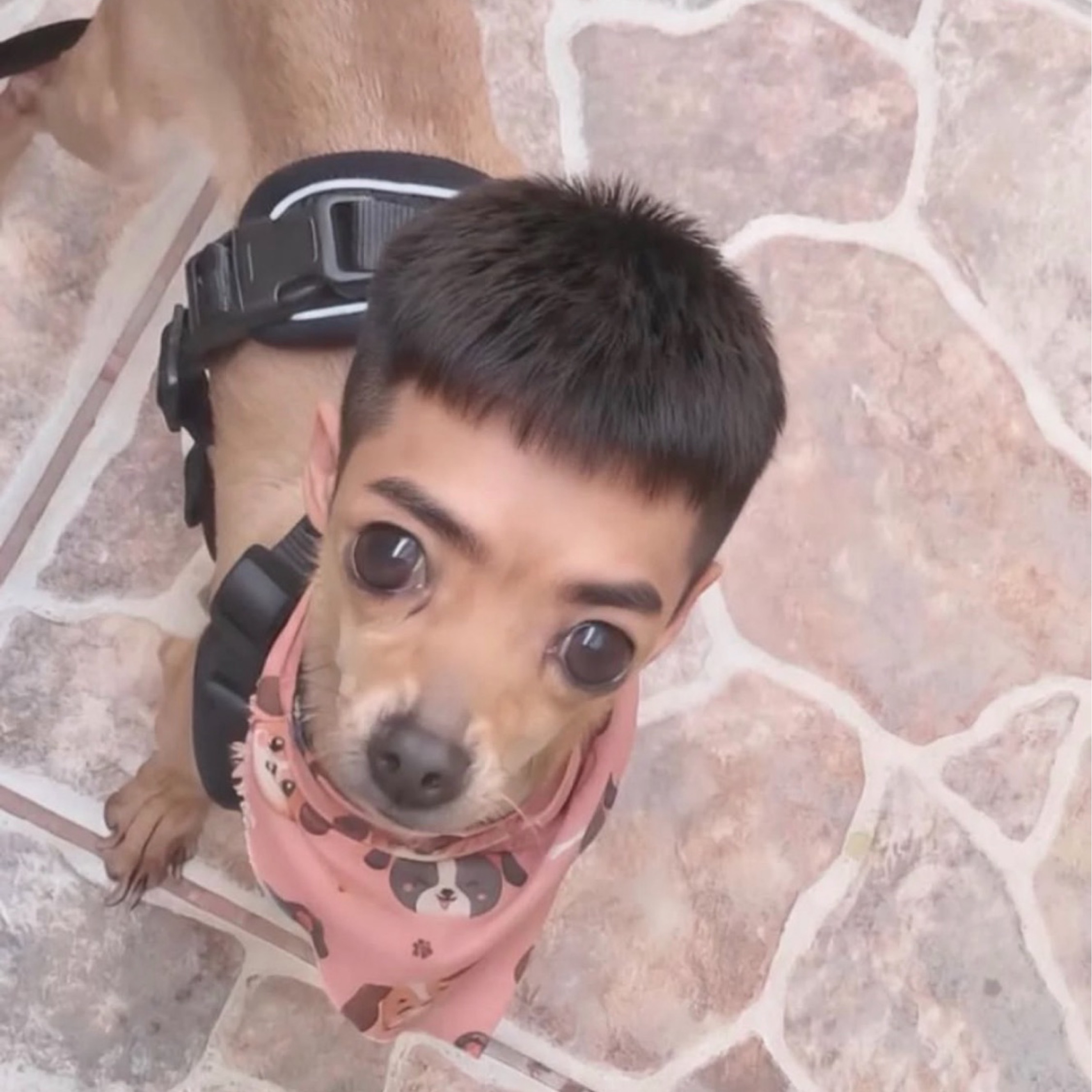 ㅋㄷㄹㅅ