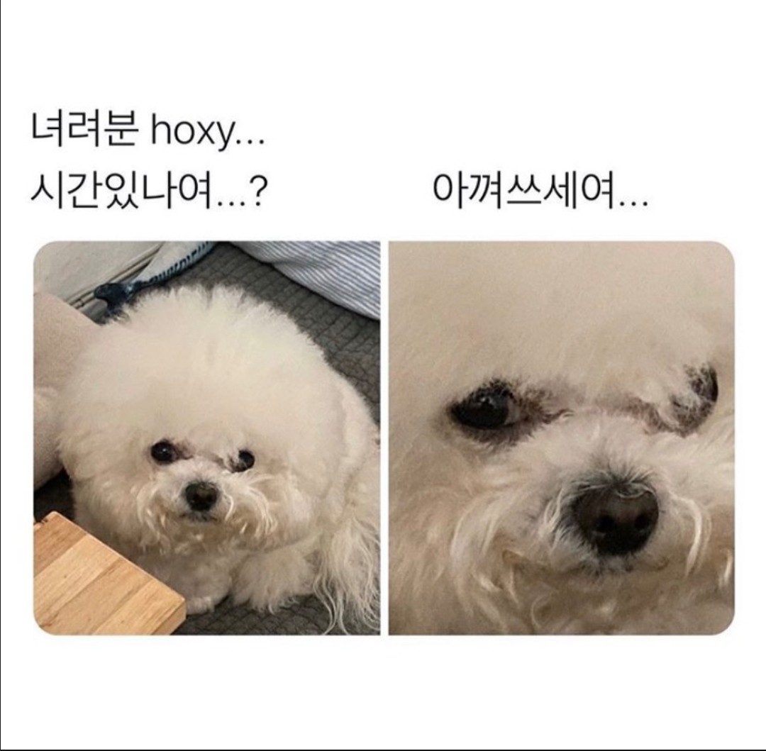 안녕하세요  갑질하는 svip입니다