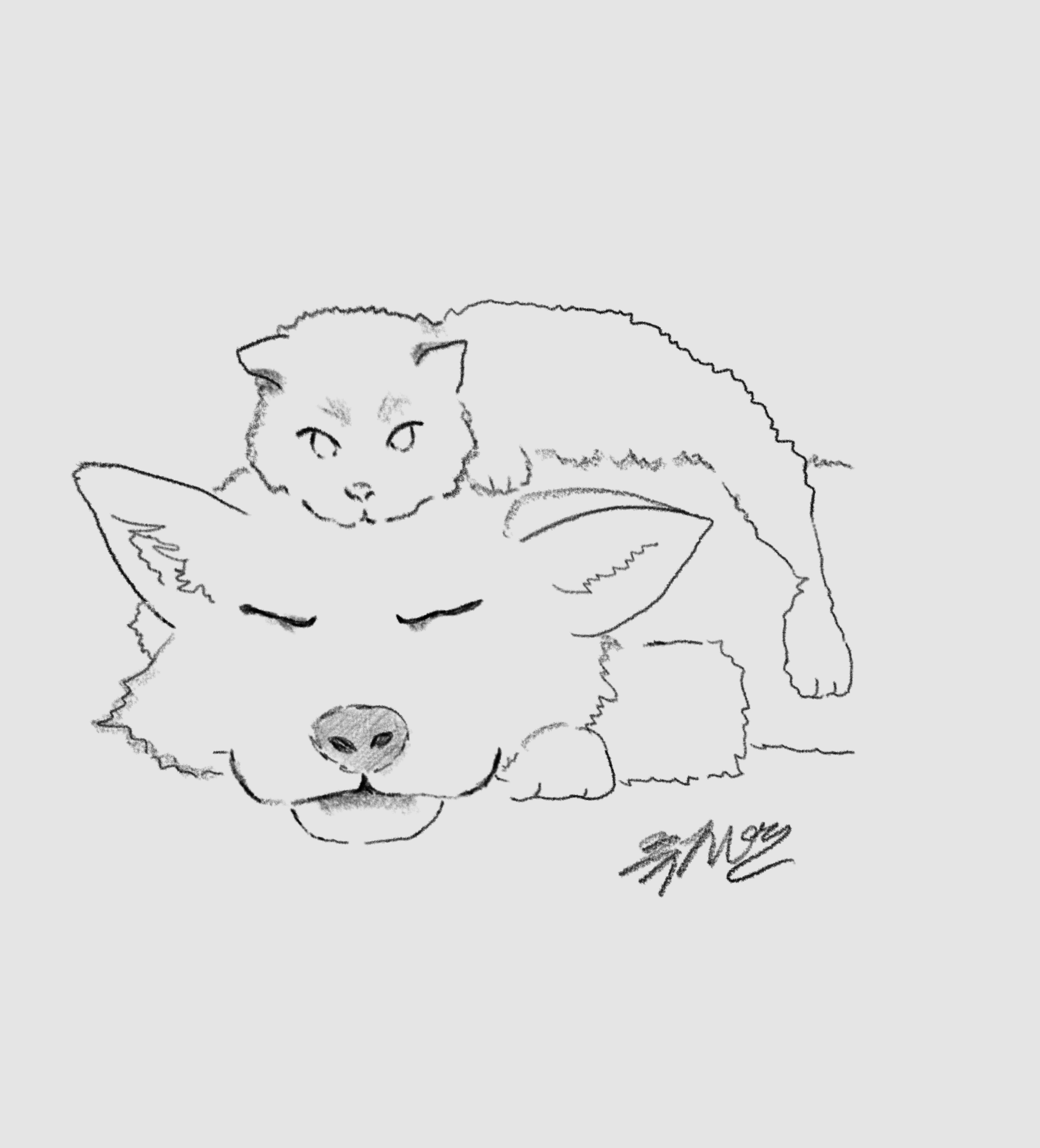 잔잔토크😌 탐방환영🙇‍
