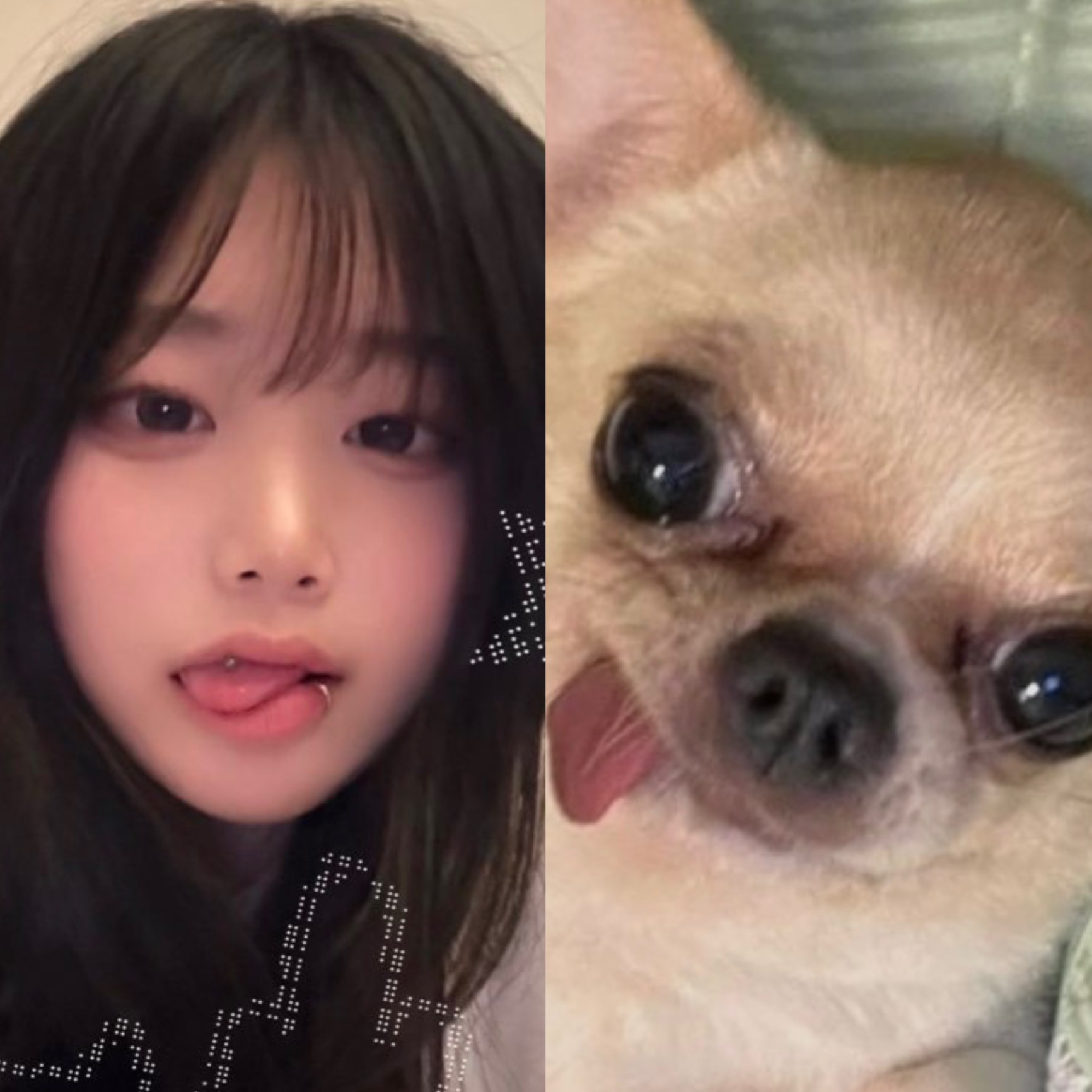 방종푼 감사합니다