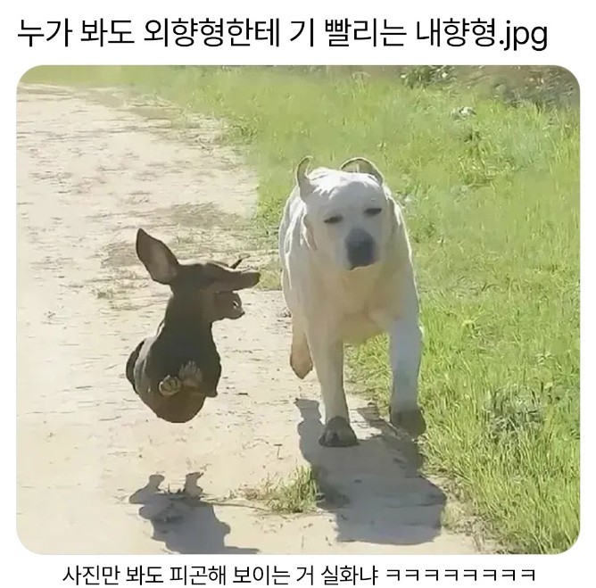살려줘