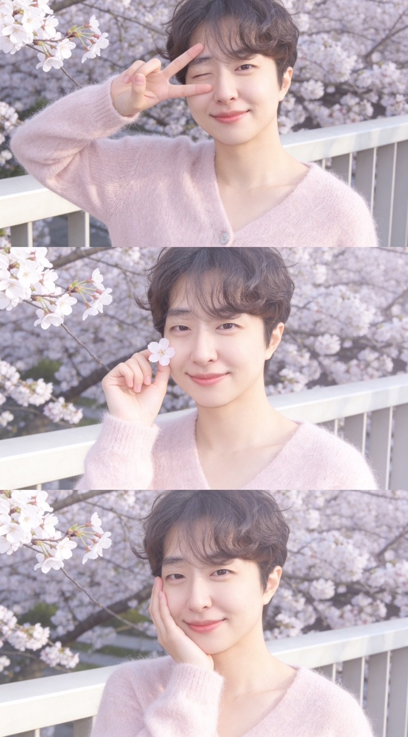 다정한 T