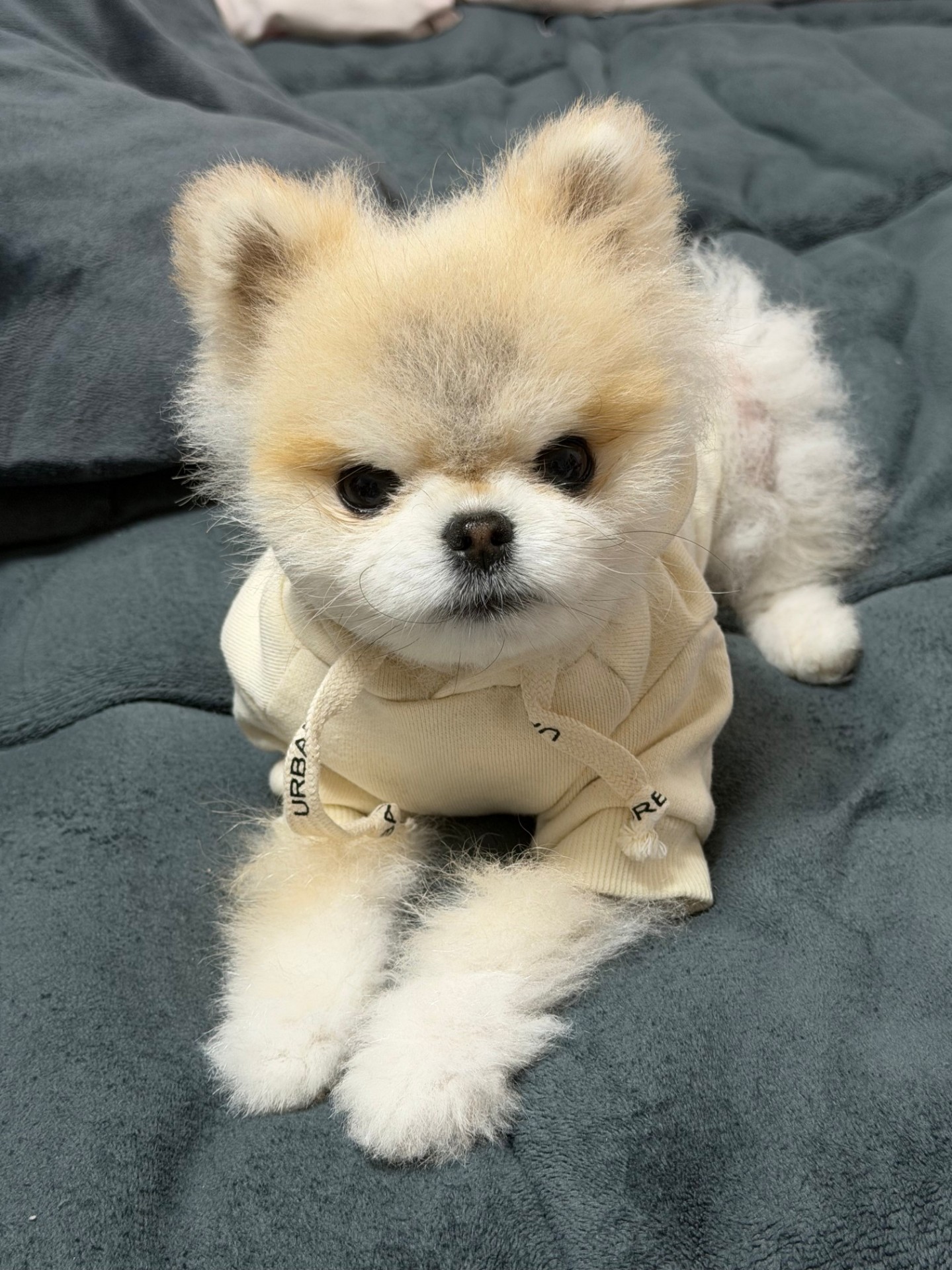# 마감이동