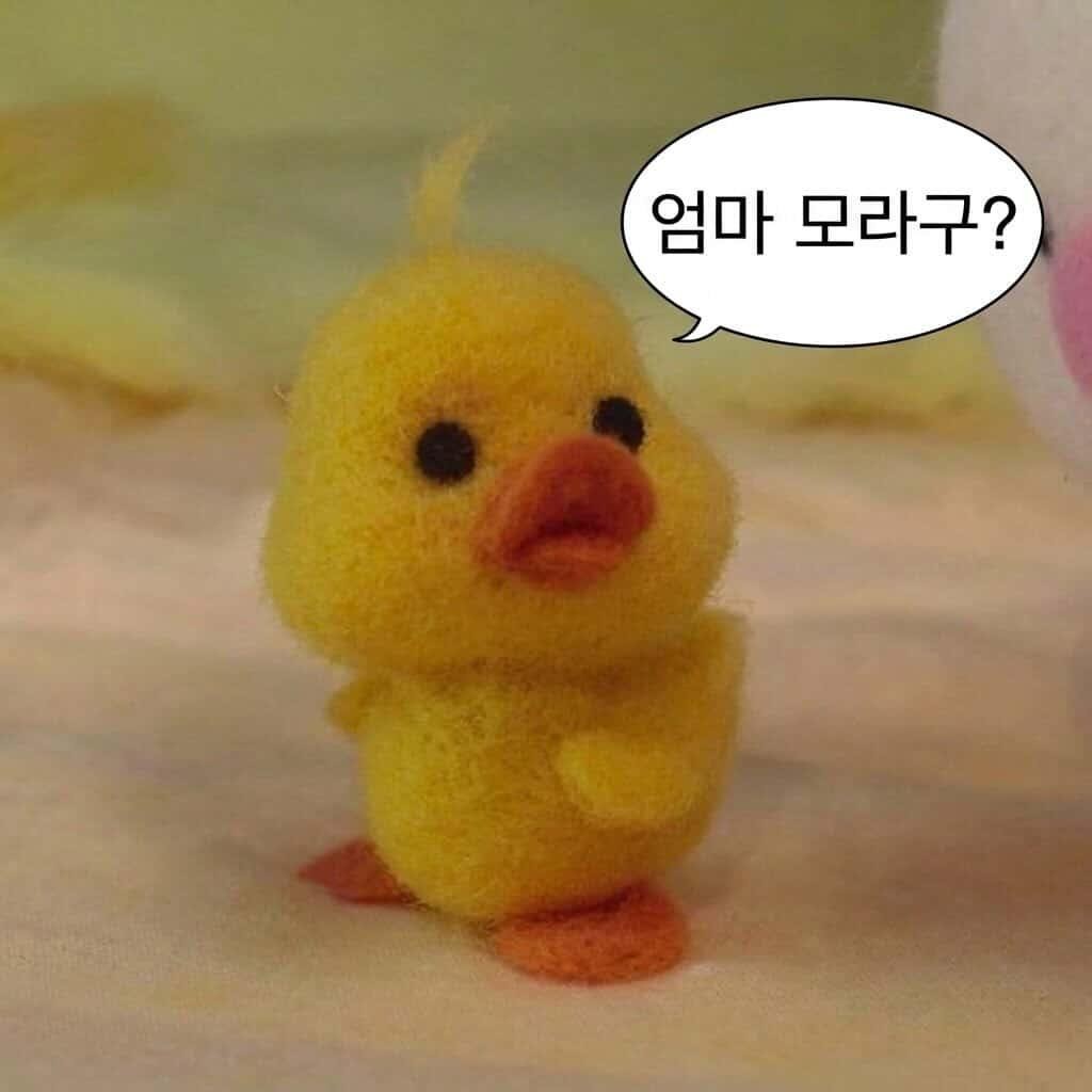 귀여운 야옹이 놀아주세여.
