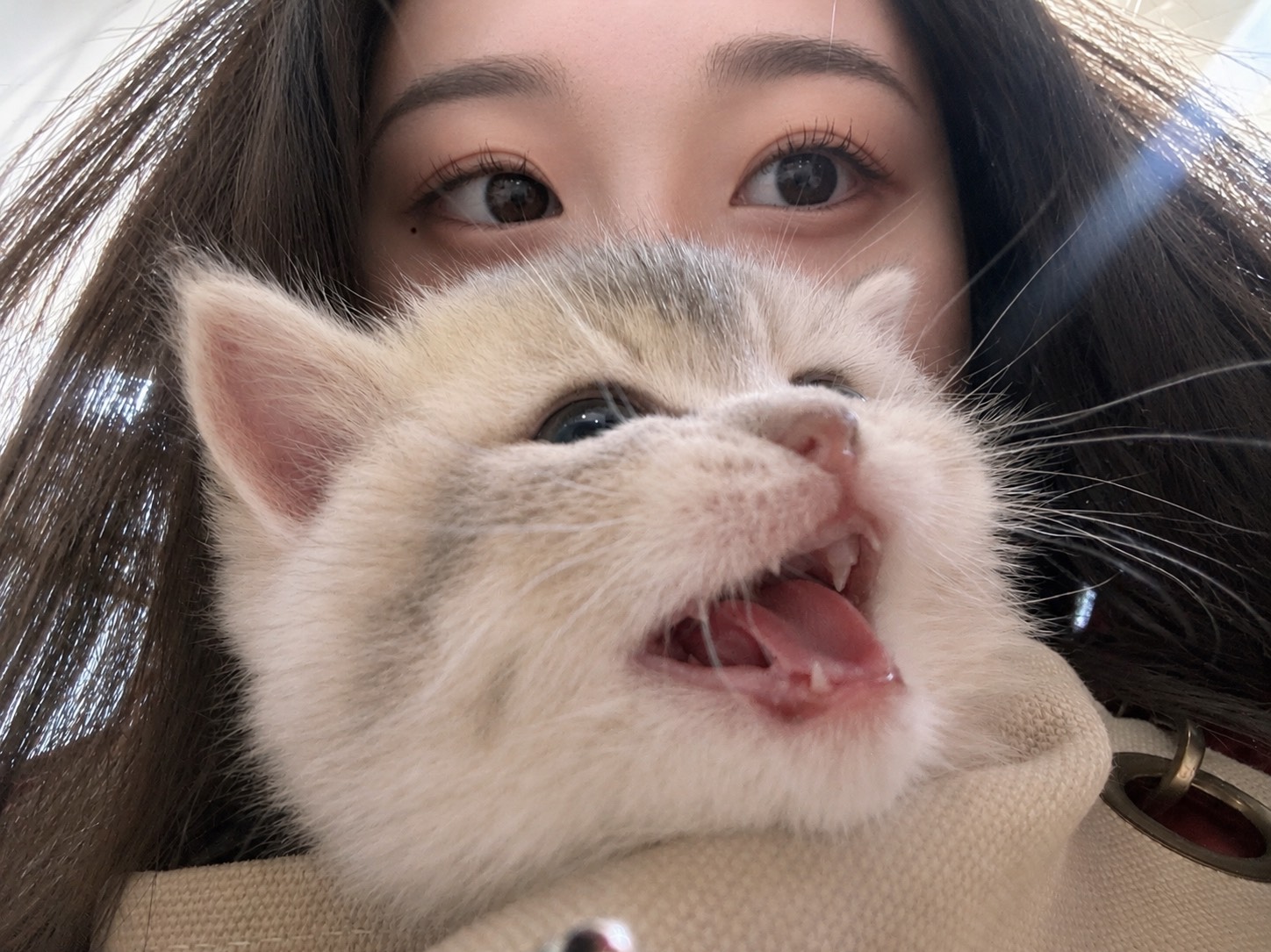 야 옹