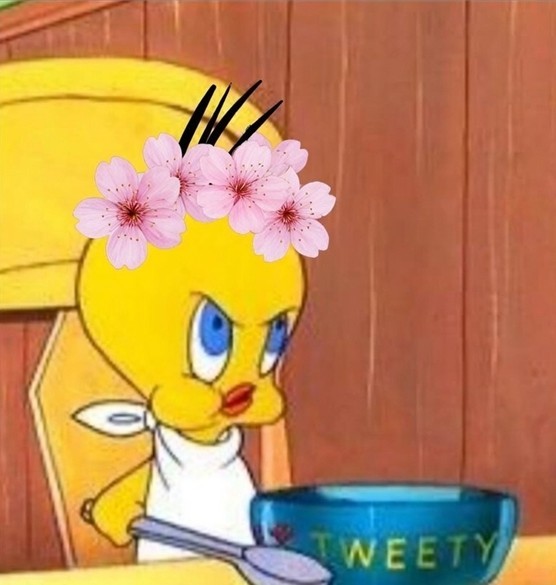 노래해요
