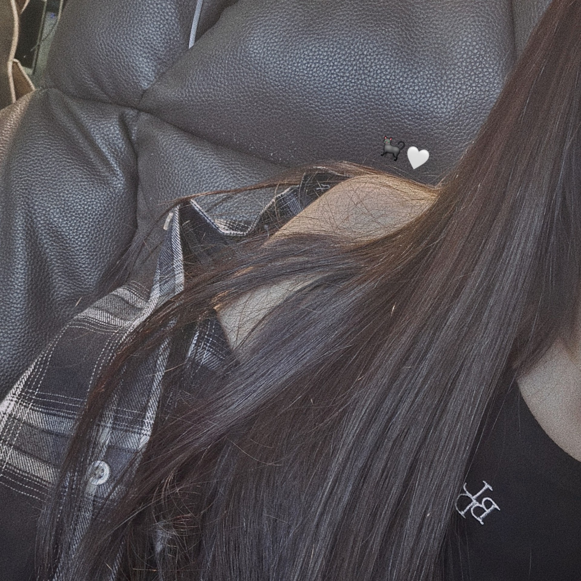 봄 몇 송이