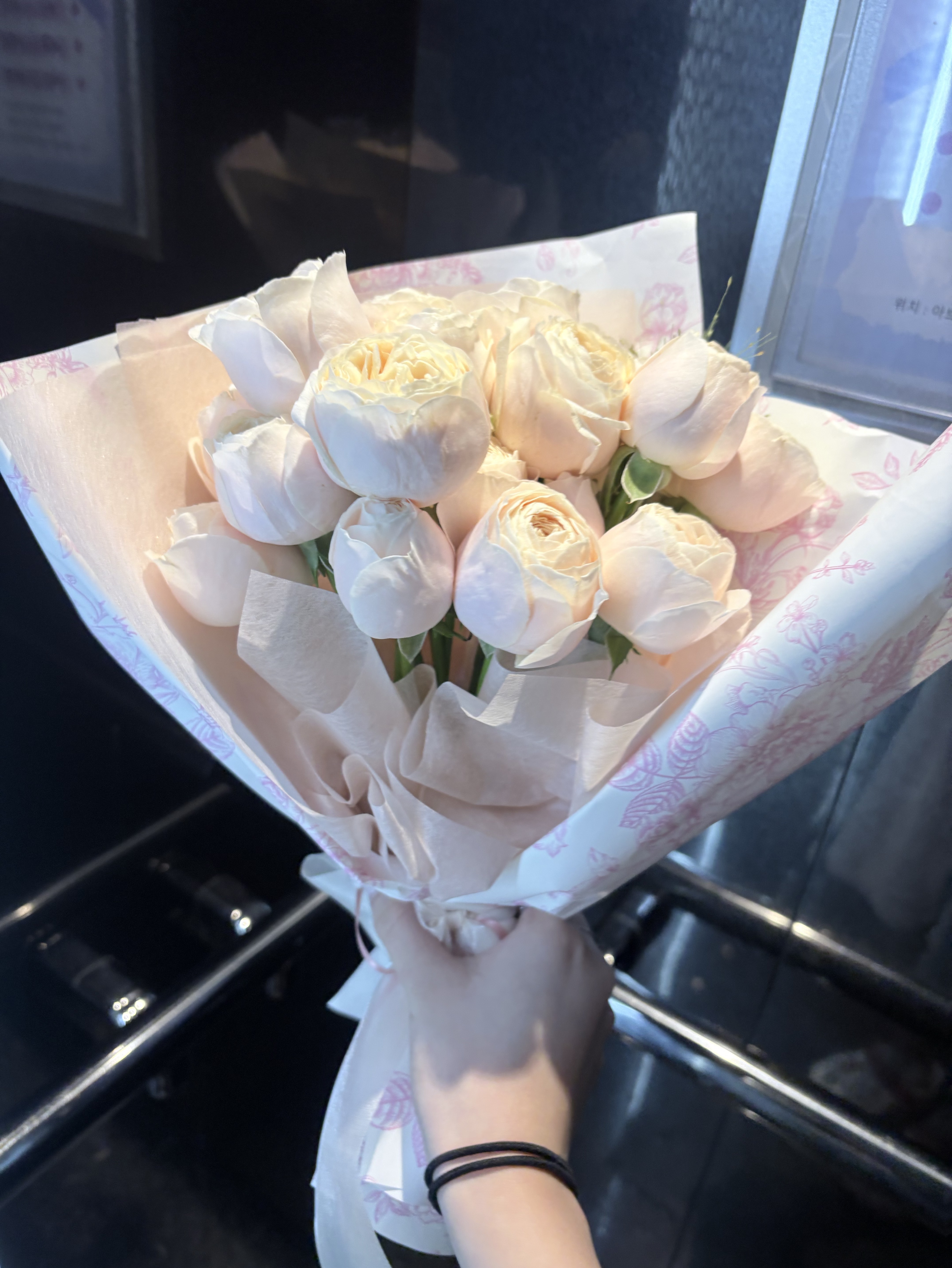 레전드 라콜