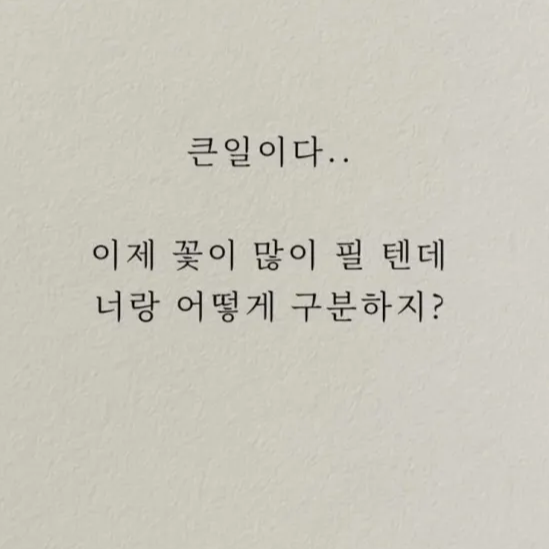 허접 중밋성