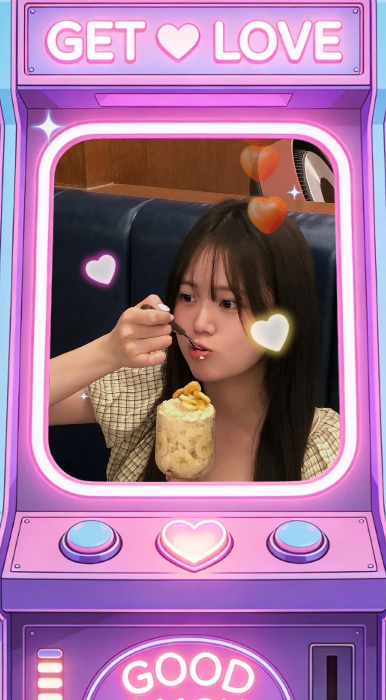 오월의 장미