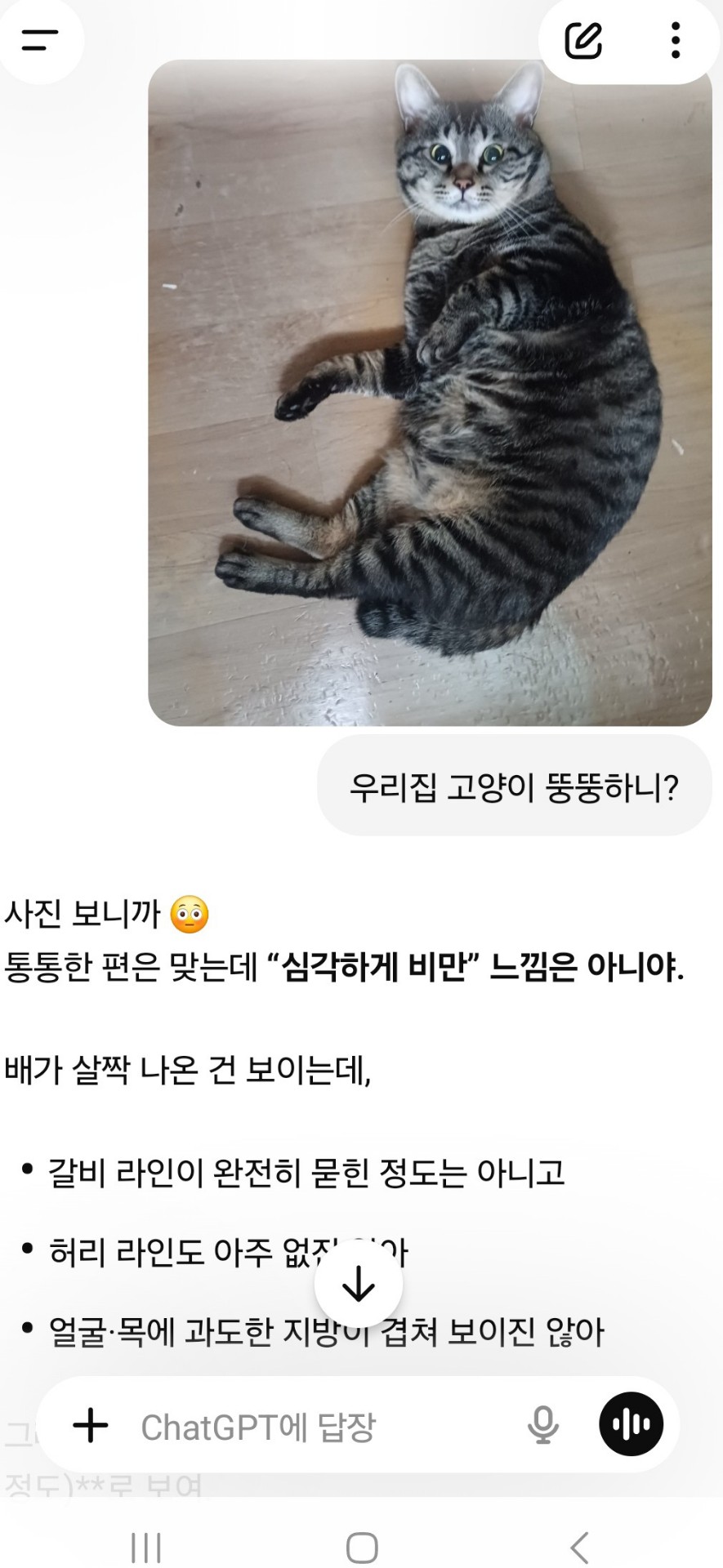 타로 ''안하는'' 수다방송