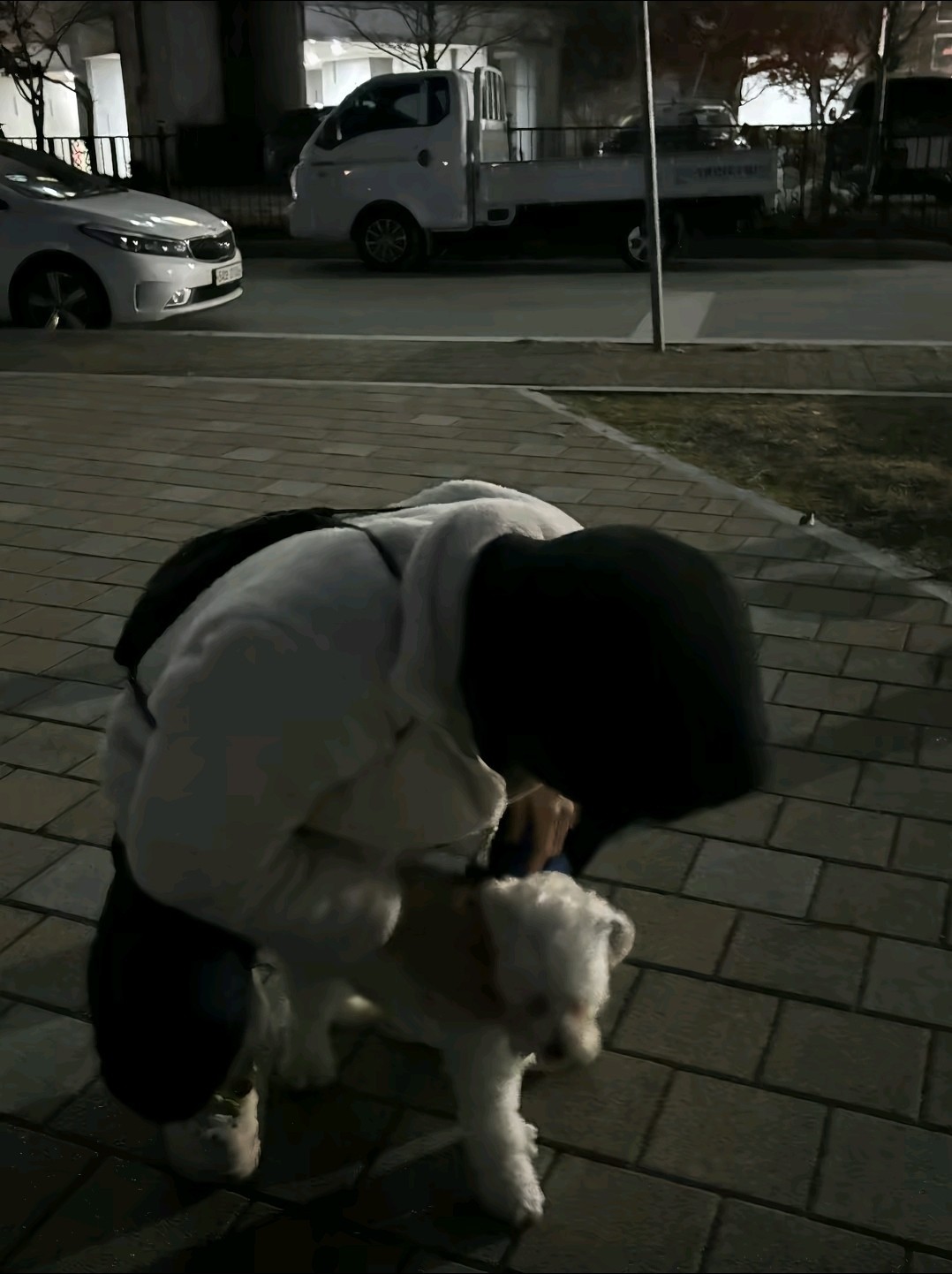 갈방읍자나?