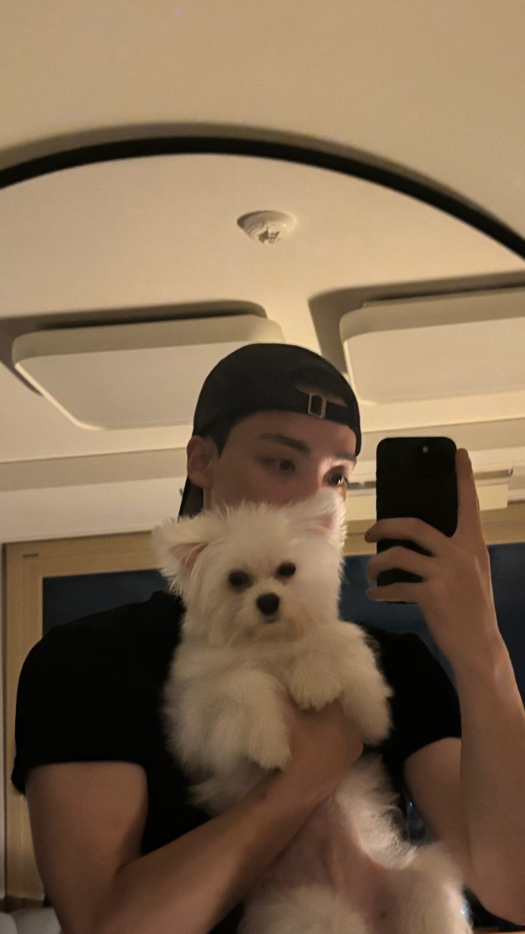 잠방 pli