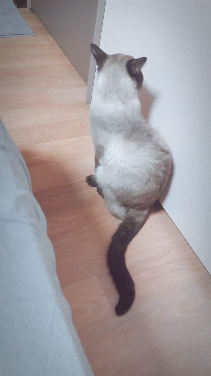 30+) 다들 주무시나요?