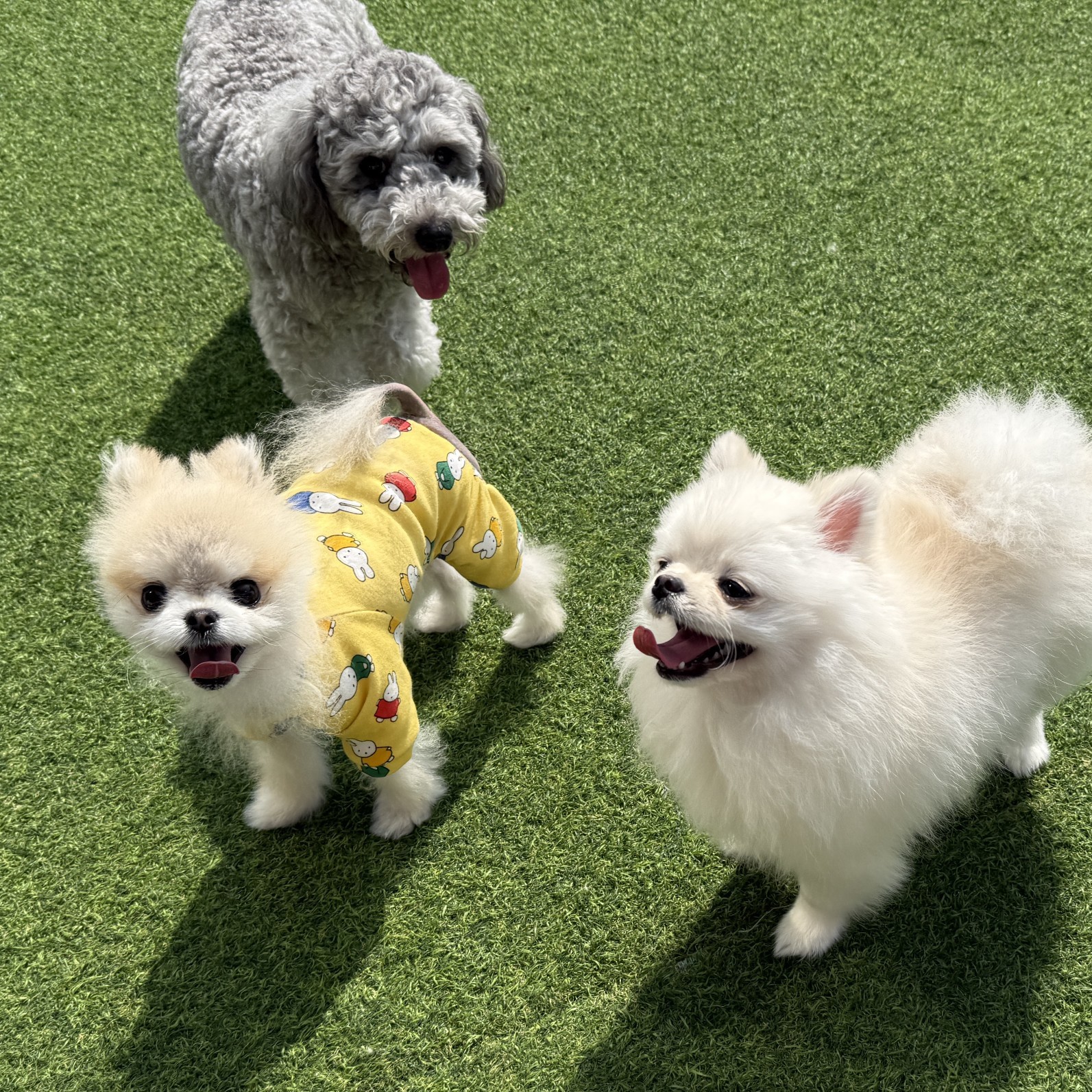 # 마감임동