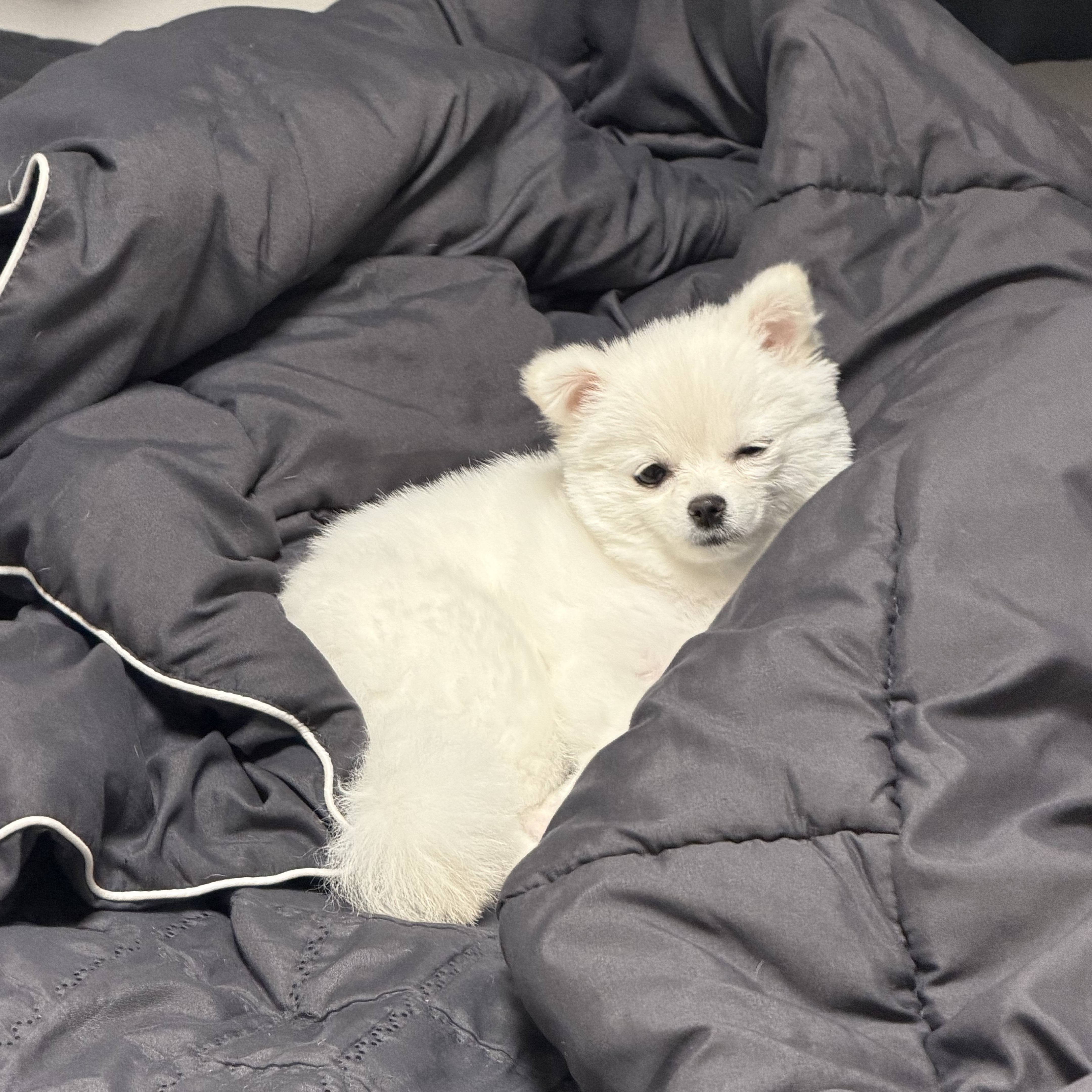 하.. 잠이 안와