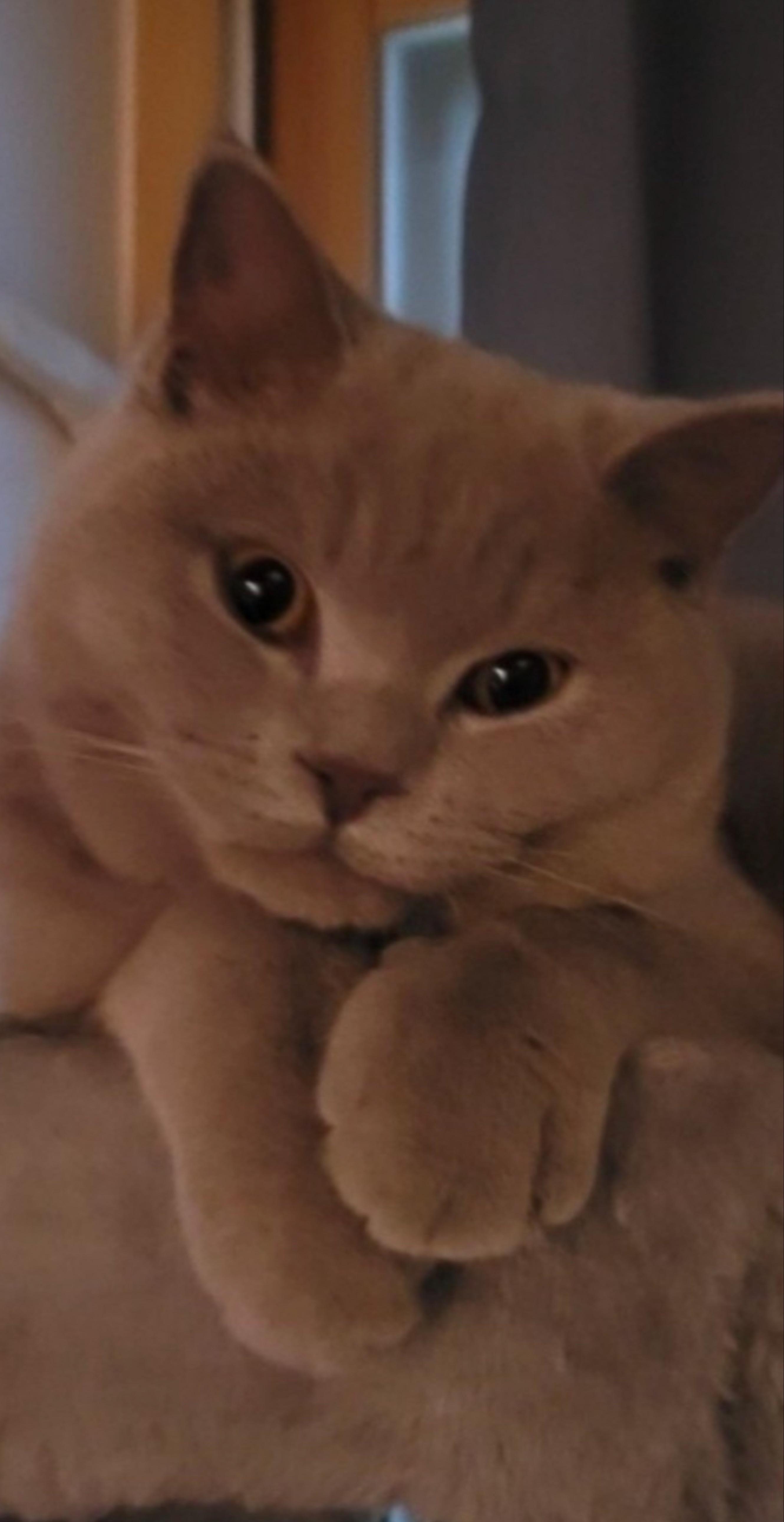 ㅇㅇㅇ