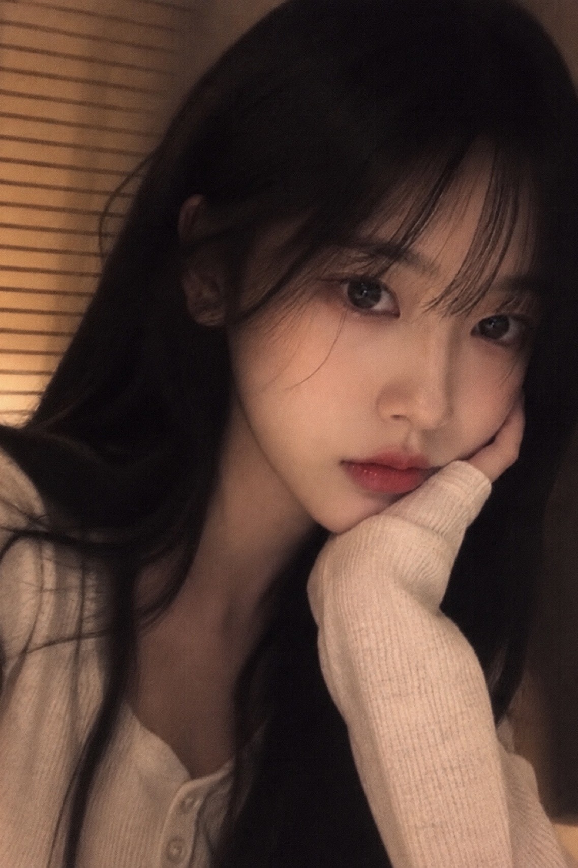 새벽반은 모이시오