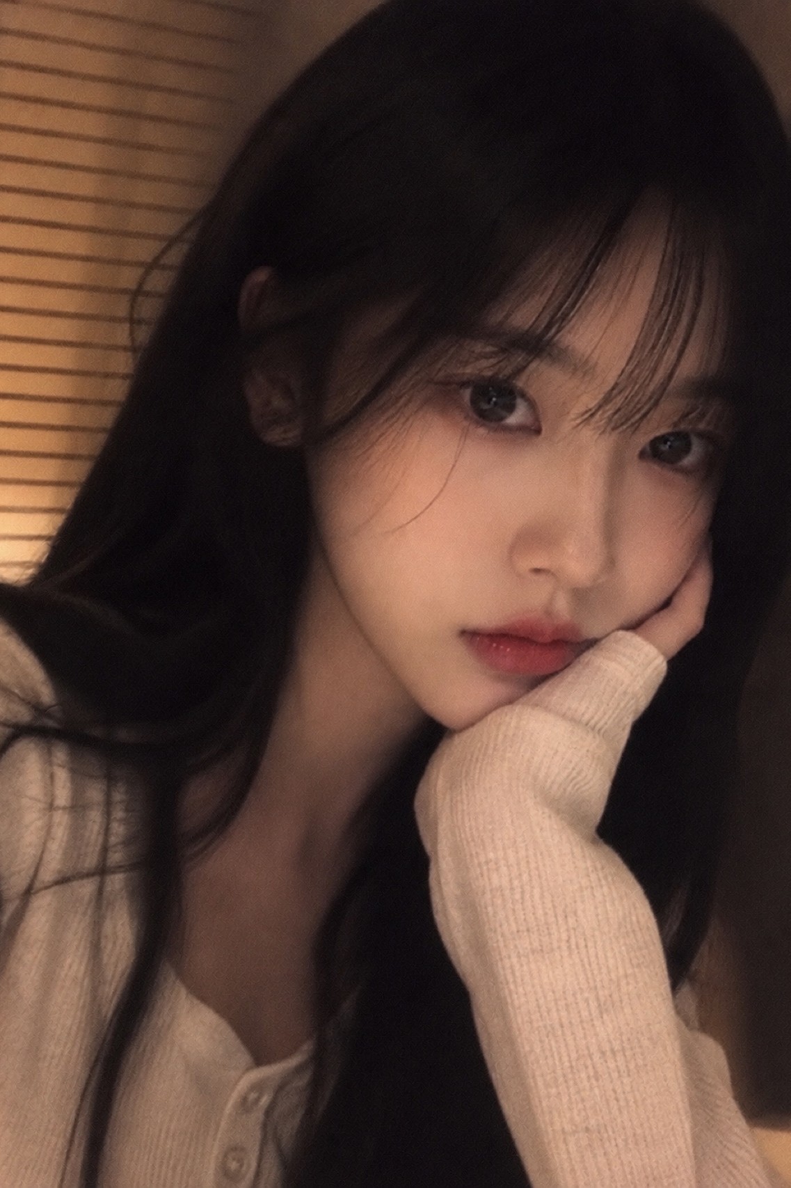 새벽반은 모이시오