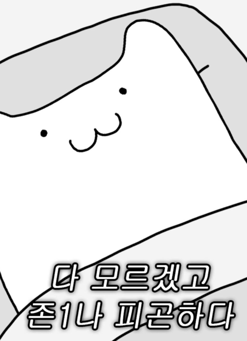 졸린데 잠이 안 온다