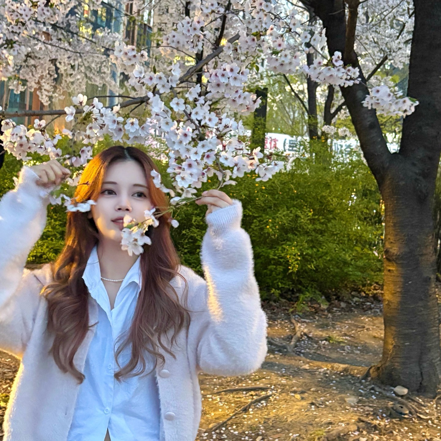 편하게