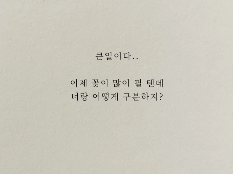 허접중미성