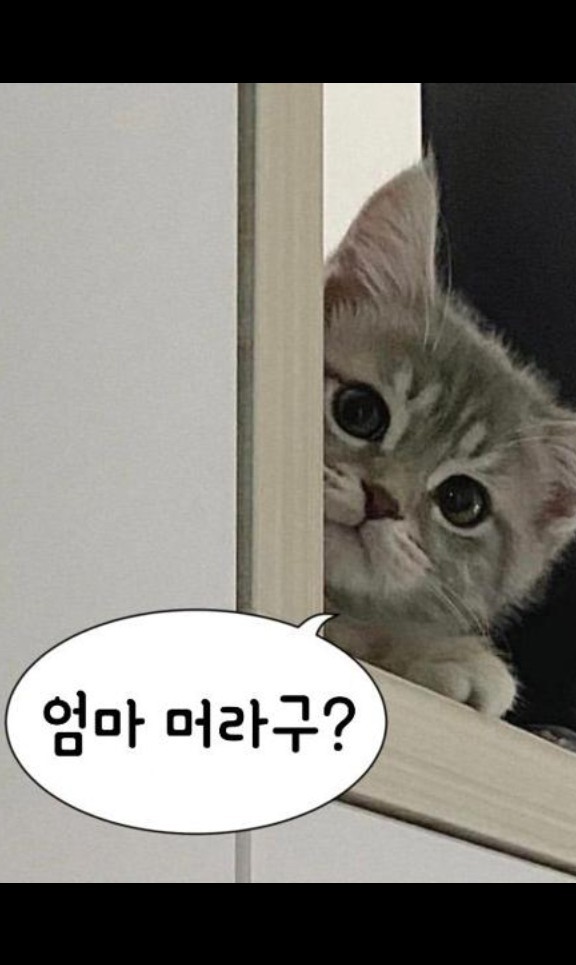 잔잔한 도파민⚠️