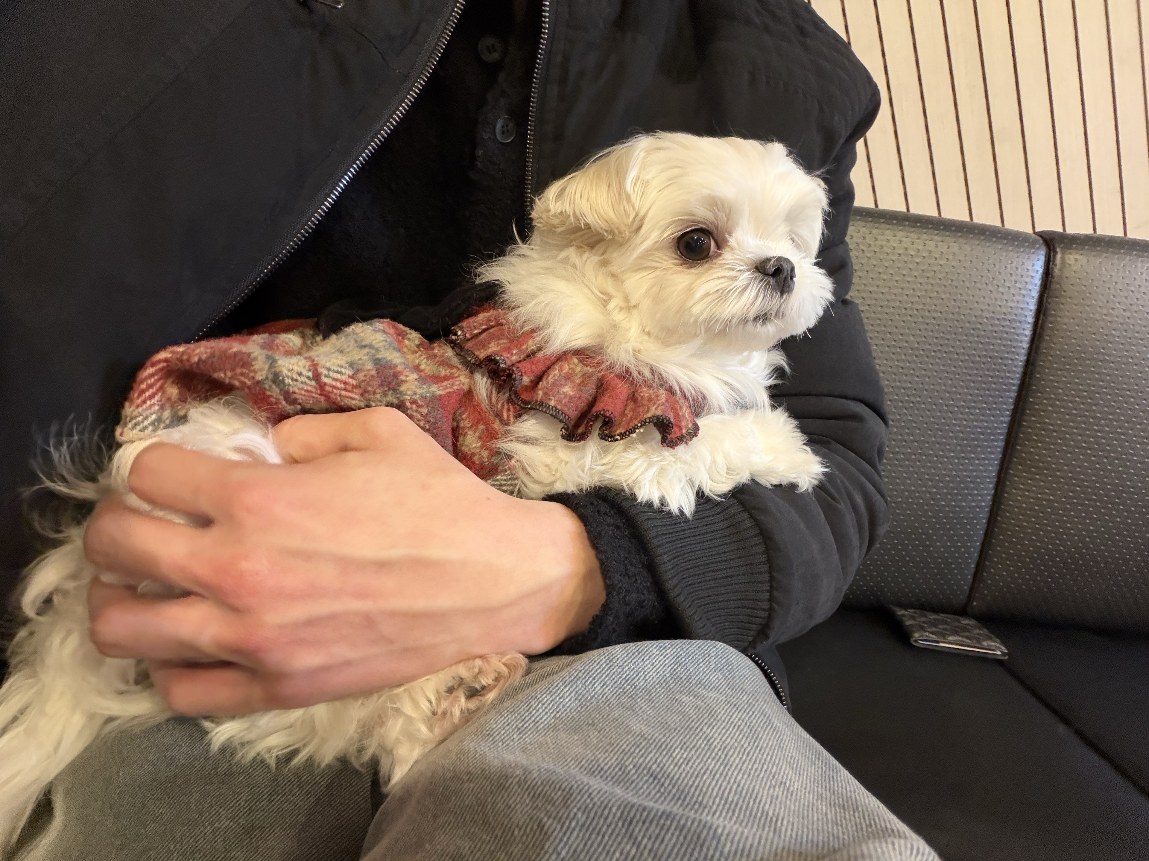 듣기 편한 방송