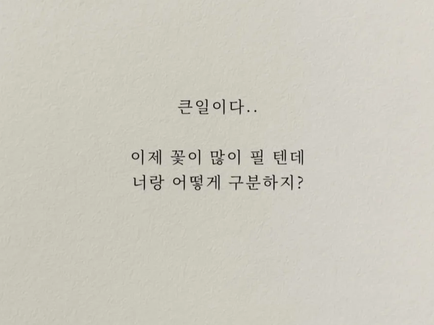 허접중미성