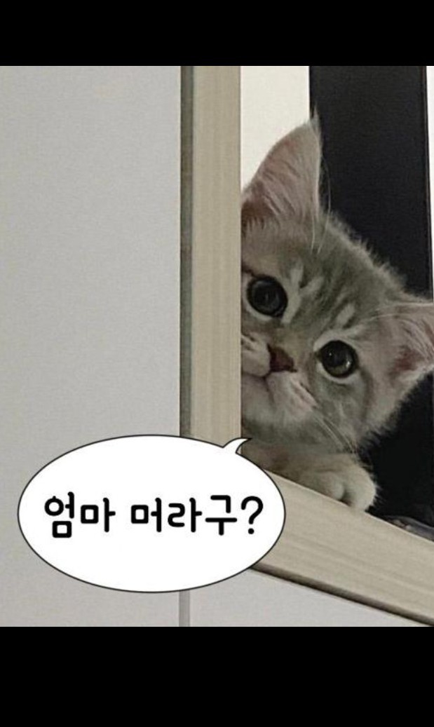 잔잔한 도파민⚠️