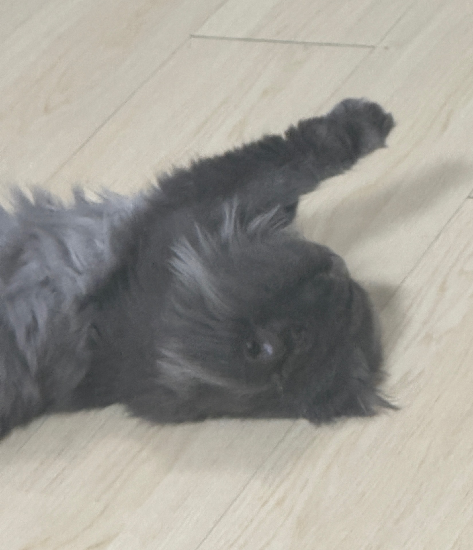 점심엔 타타야