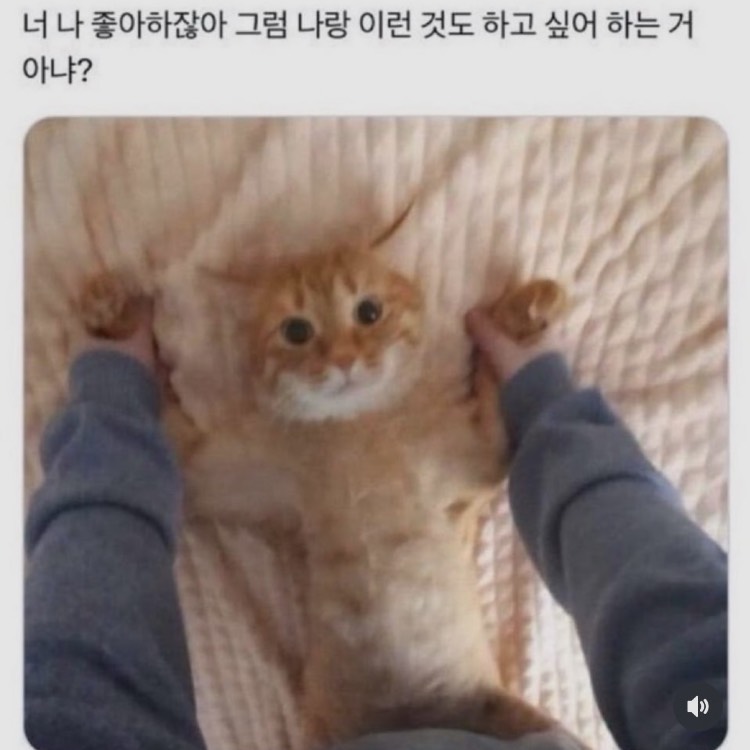 ㅗ ㅗ
