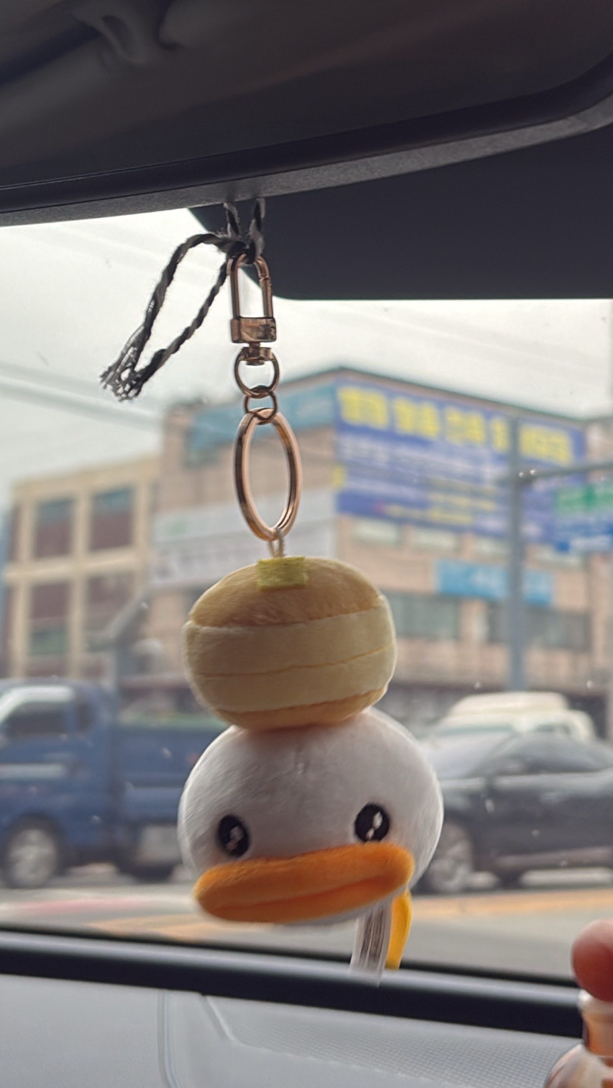 로롤체 할사람