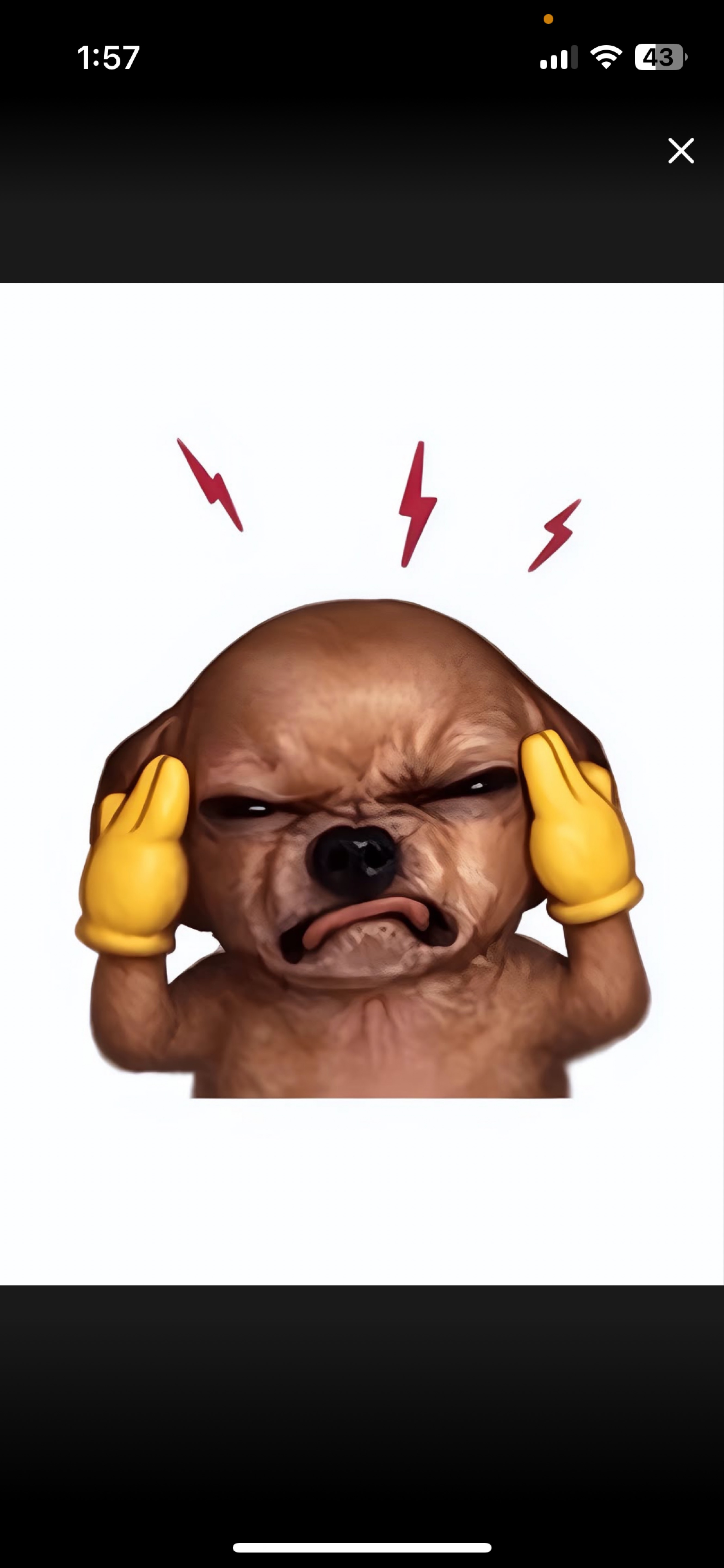 ㅇㅇㅇ