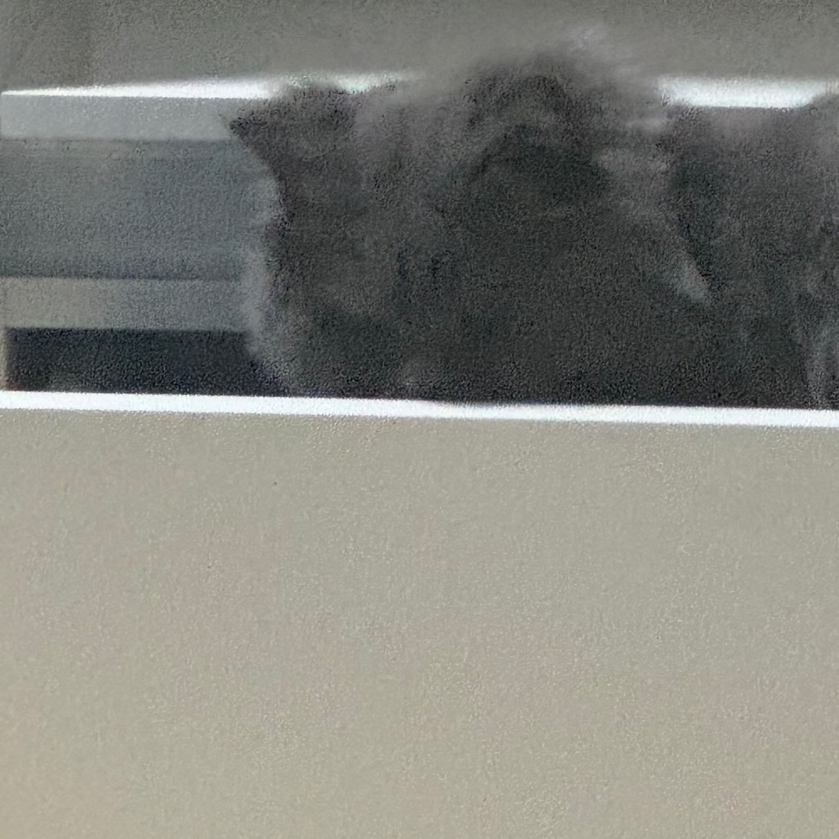 점심엔 타타야
