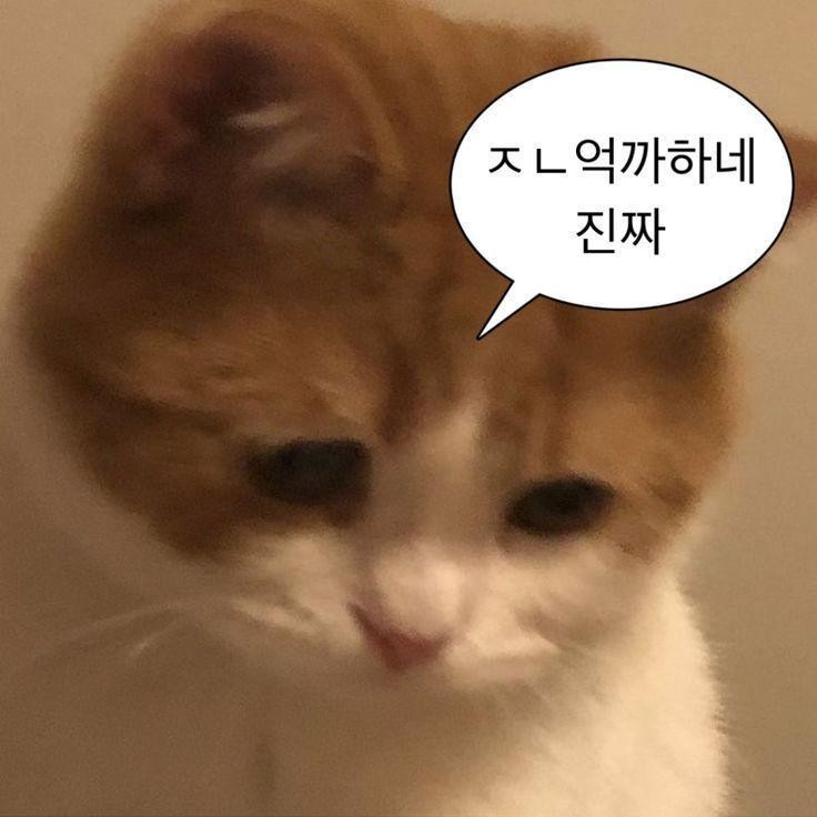 집 치우면서 방송 킬게요.