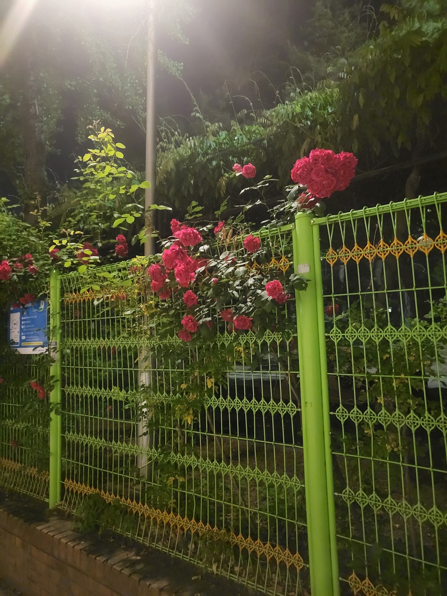 #듣다가 주..?아니 웃으세요