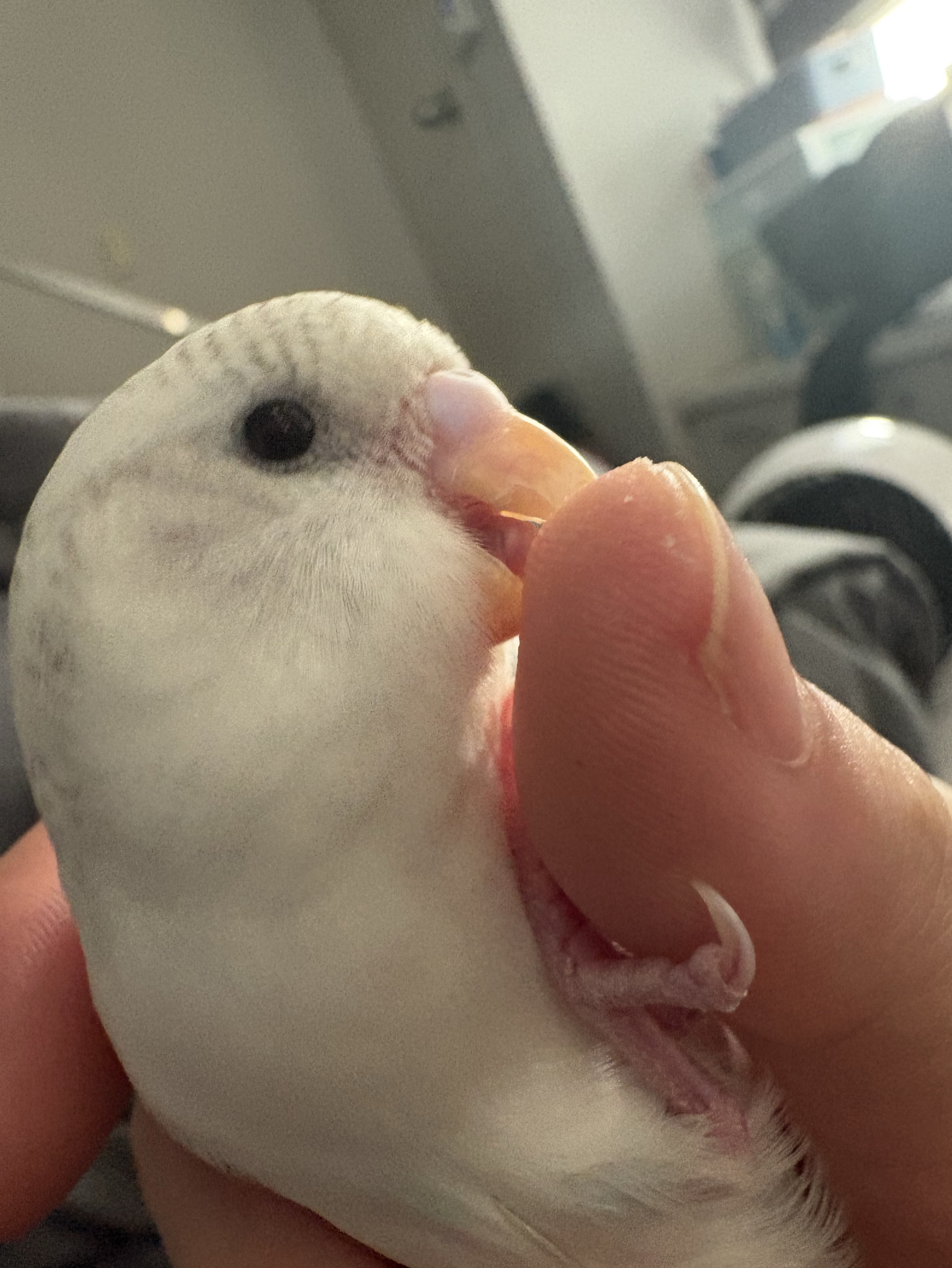 잠깐킬께요
