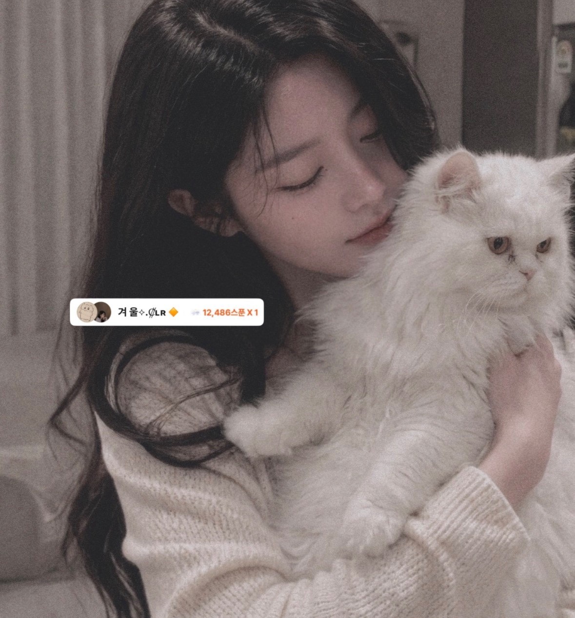 책)오늘도 고생 했어 재워줄게요🌿