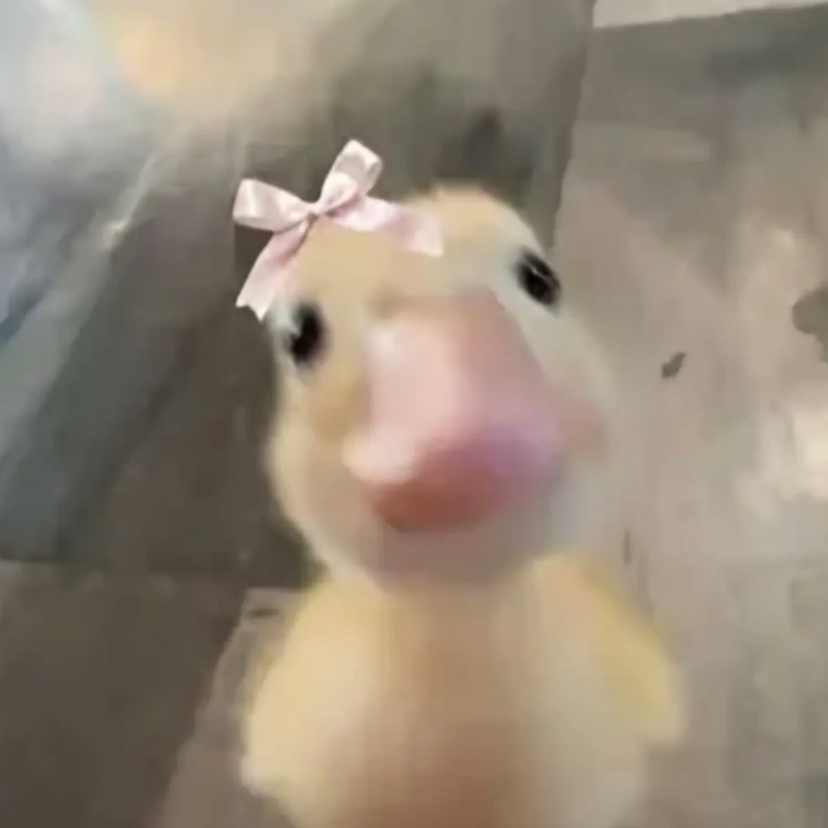 잠깐킬께요