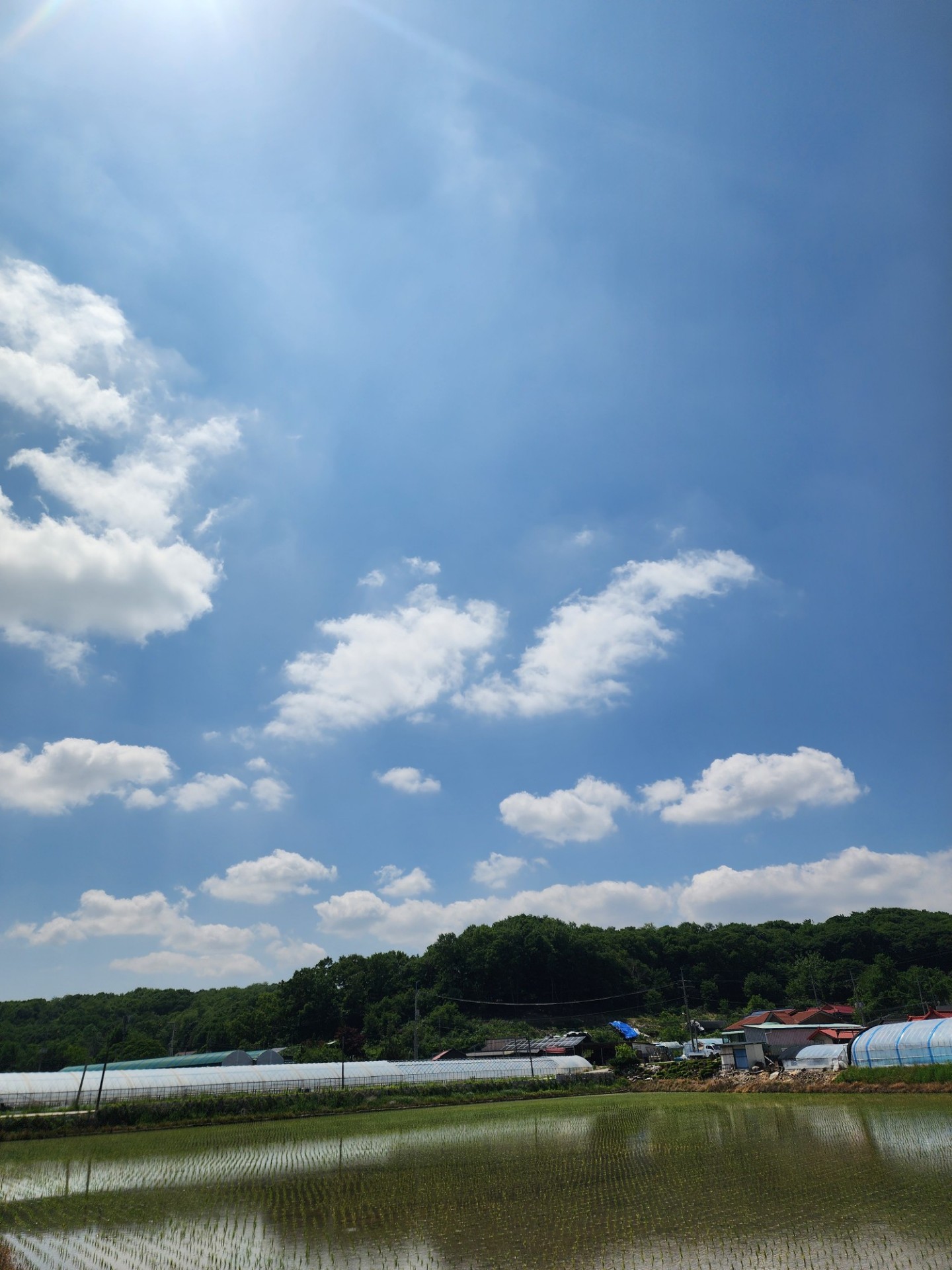 산책 30분
