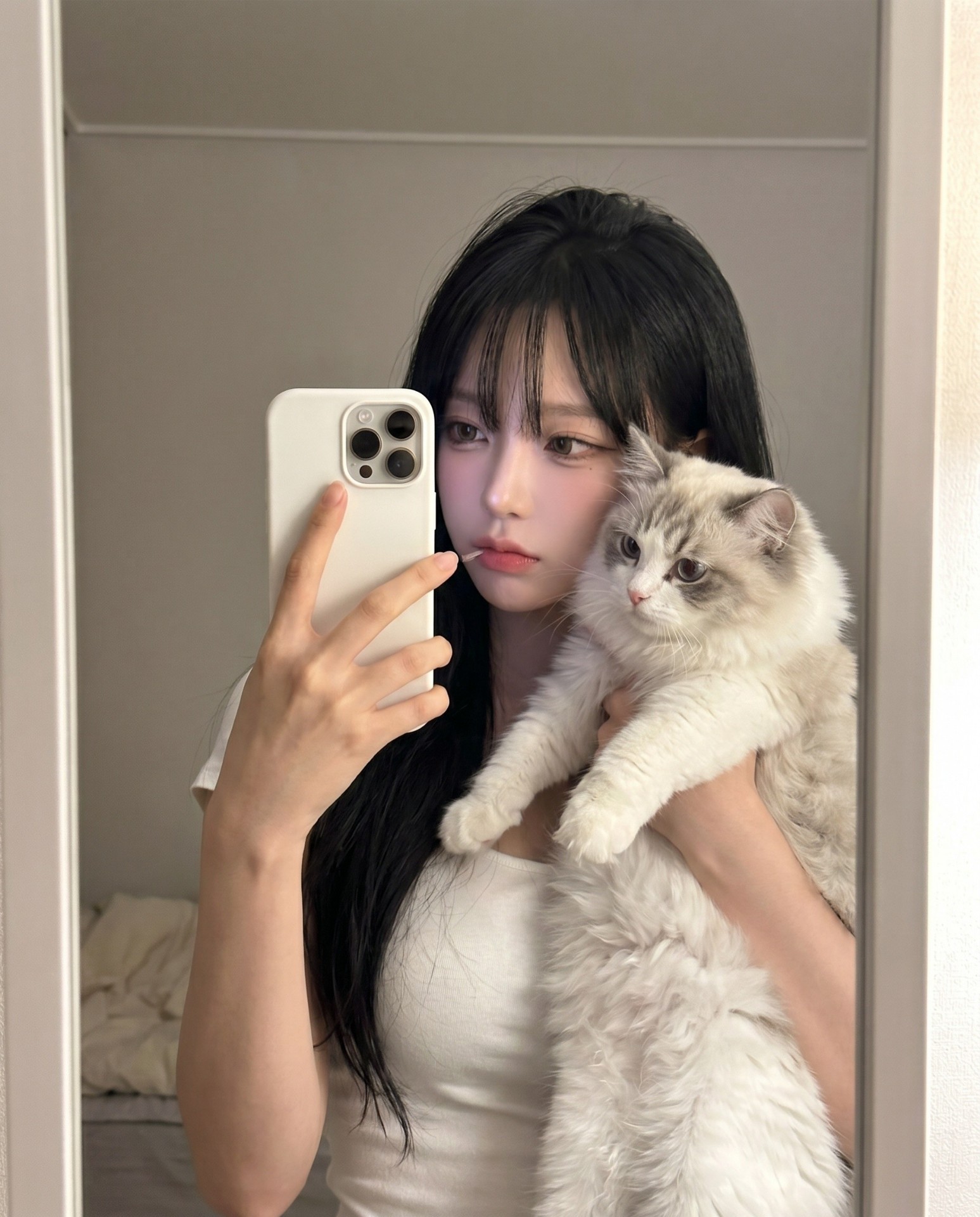 + 143 ) 24시간 노방종 도전5